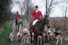 Scotland bans trail-hunting but campaigners fear hunters ‘may exploit loopholes’