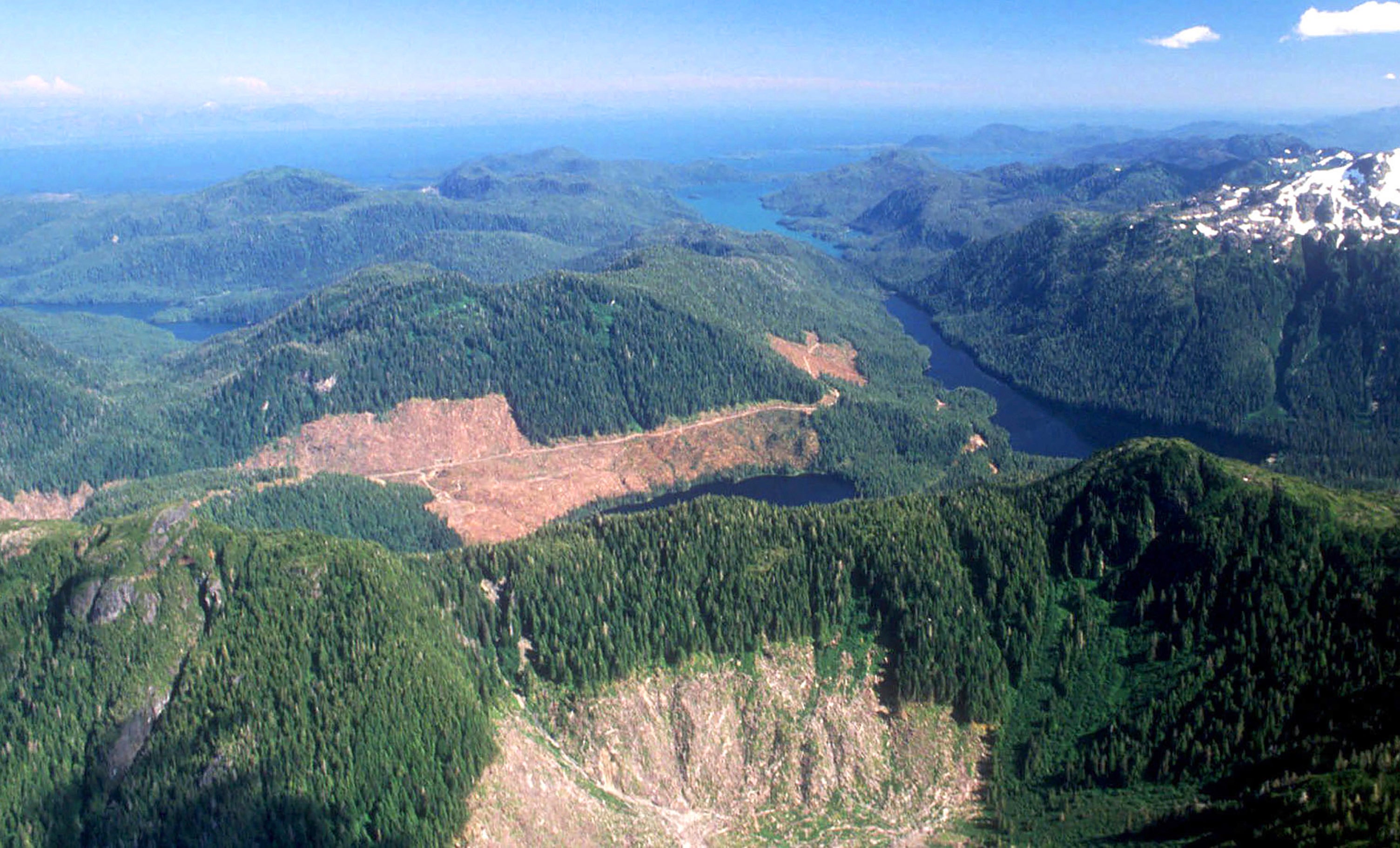 Alaska Forest Logging