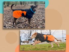 This insulated coat has kept my dog warm during our winter adventures – even in freezing temperatures