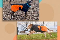 This insulated coat has kept my dog warm during our winter adventures – even in freezing temperatures