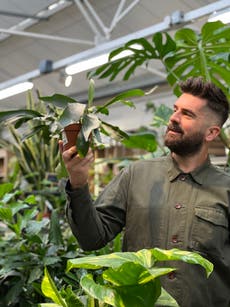 Nearly two-thirds of gardeners play music to their plants, research claims