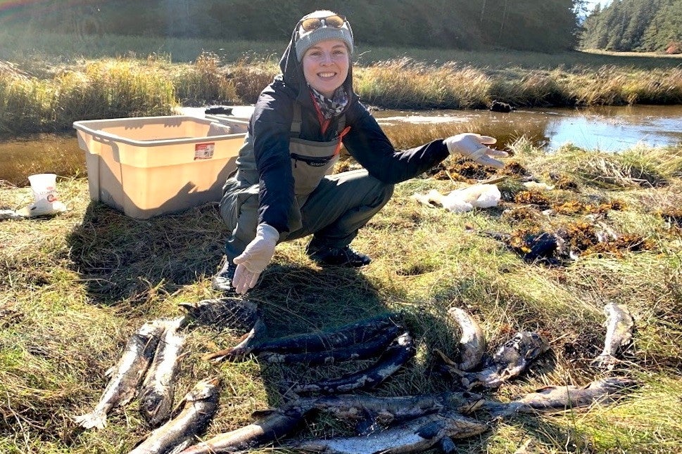 Research lead, PhD biology student Allison Dennert