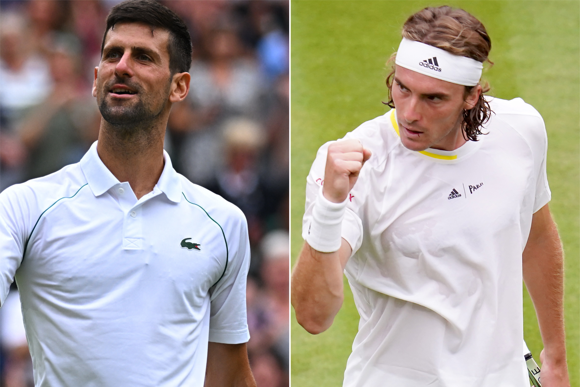 Novak Djokovic and Stefanos Tsitsipas (PA)