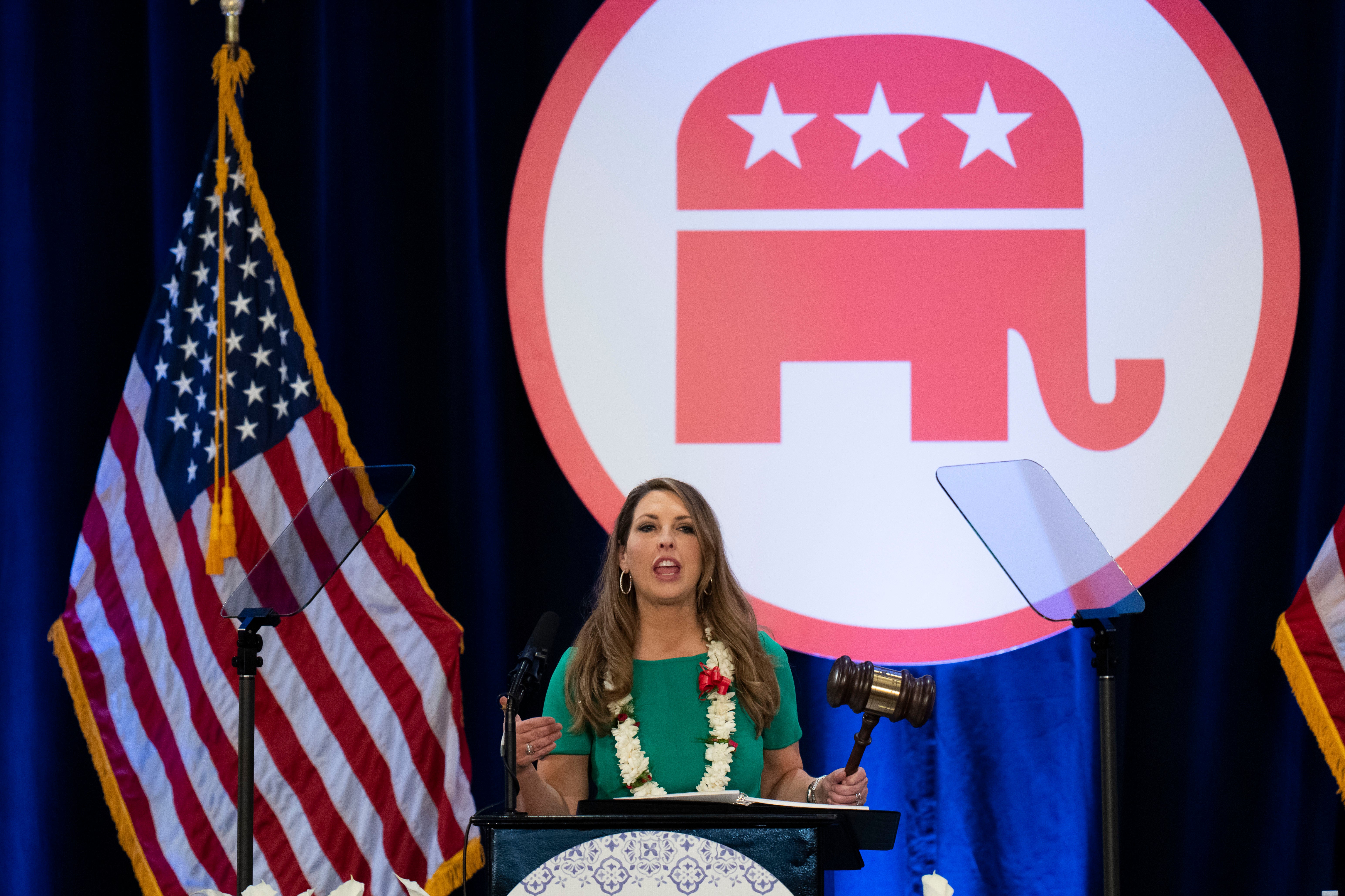 Election 2024 RNC Chair