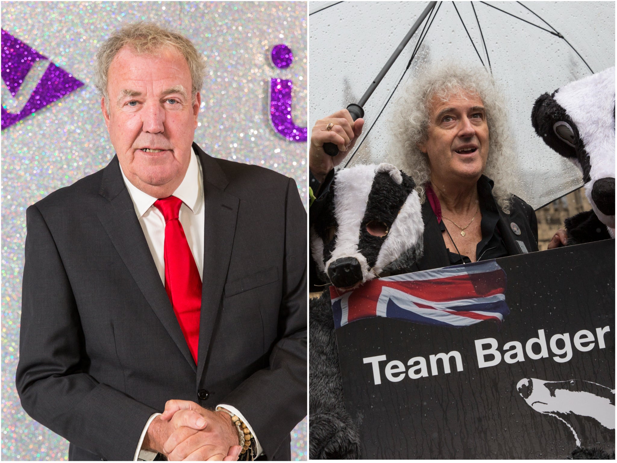 ‘Do not be fooled’: Jeremy Clarkson hits out at Brian May over defence of ‘b*****d’ badgers