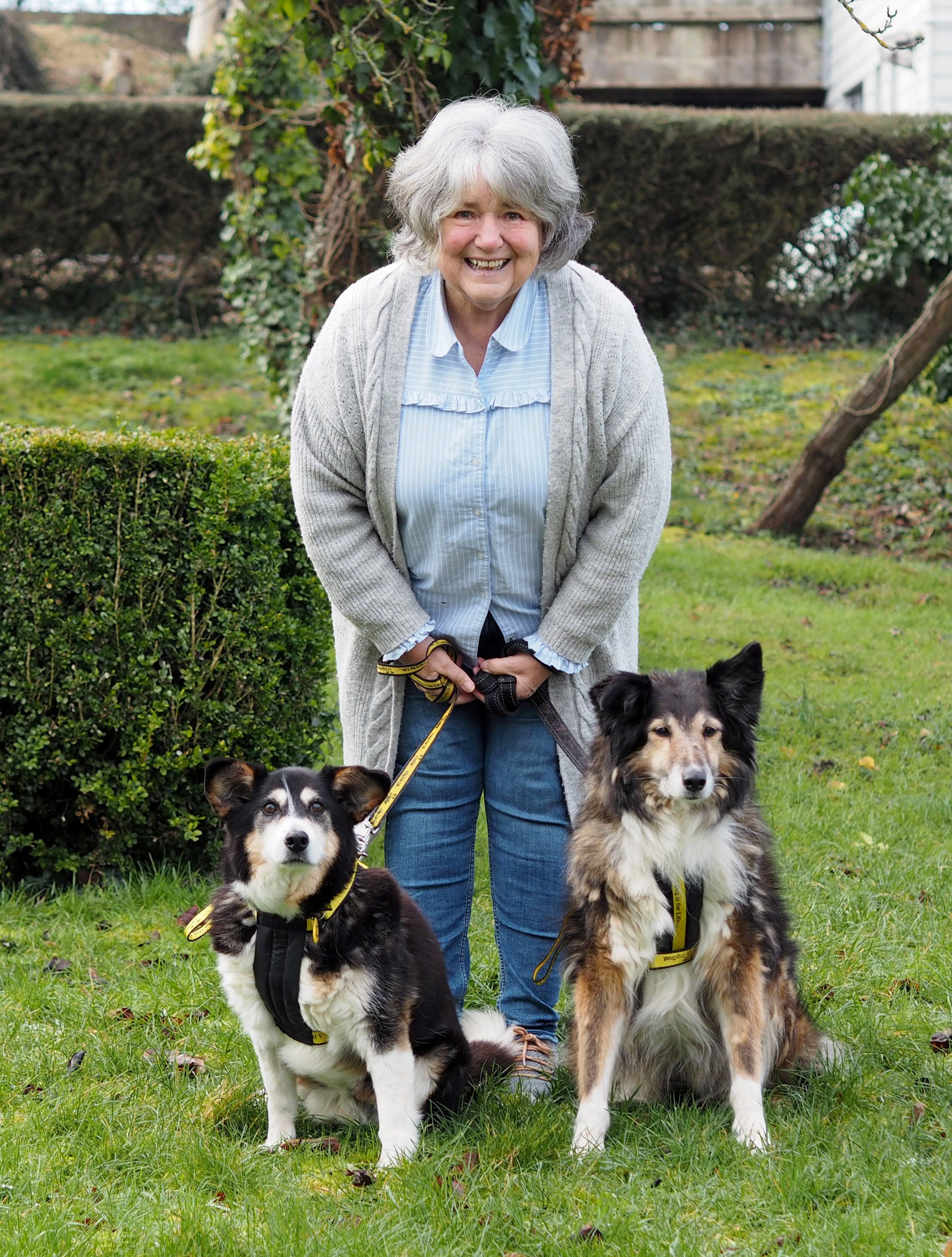 Sue Lewis took on the pair who ended up at a rescue centre after their owner died