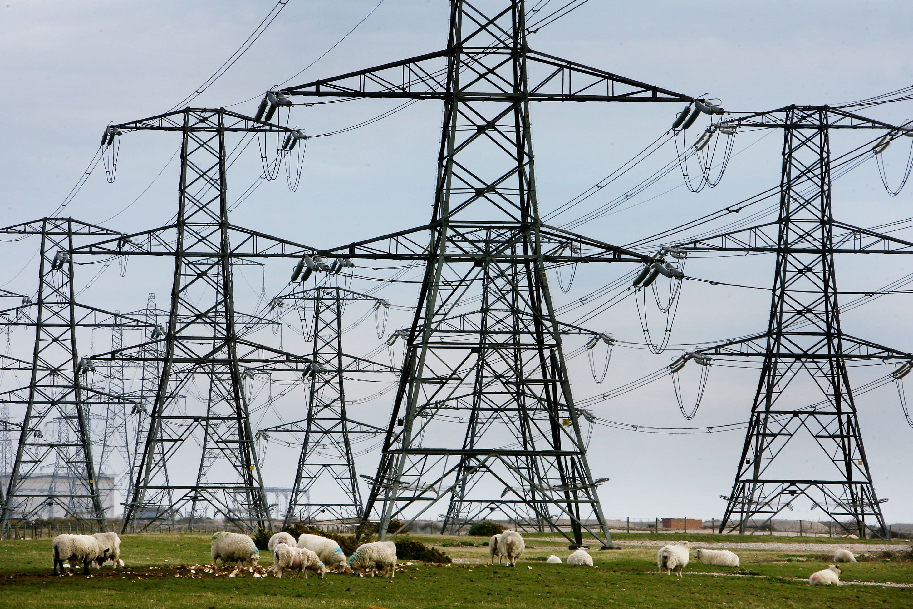 Trade bodies warned a lot of businesses are tied into fixed prices (Gareth Fuller/PA)