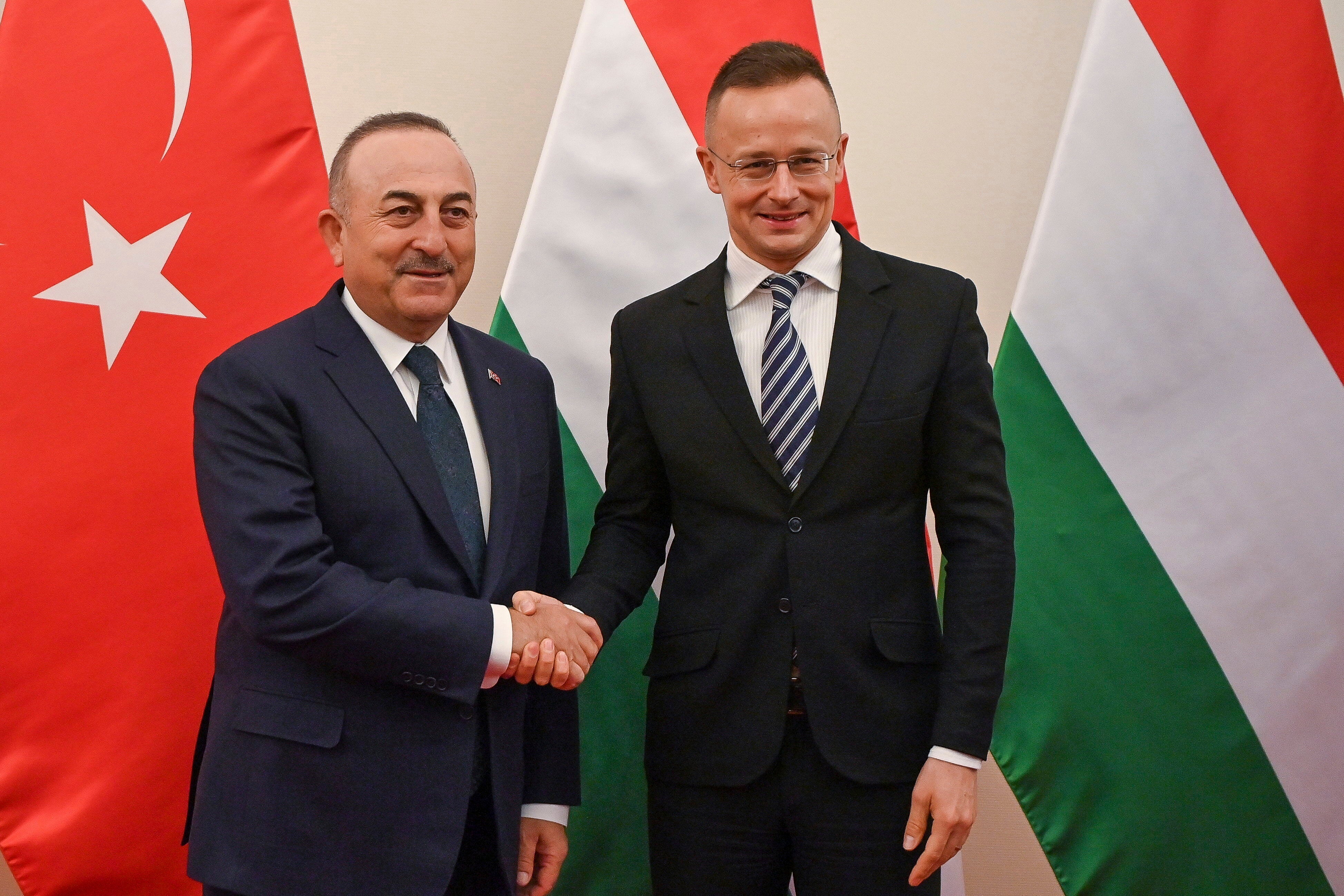 Hungary Turkey Diplomacy