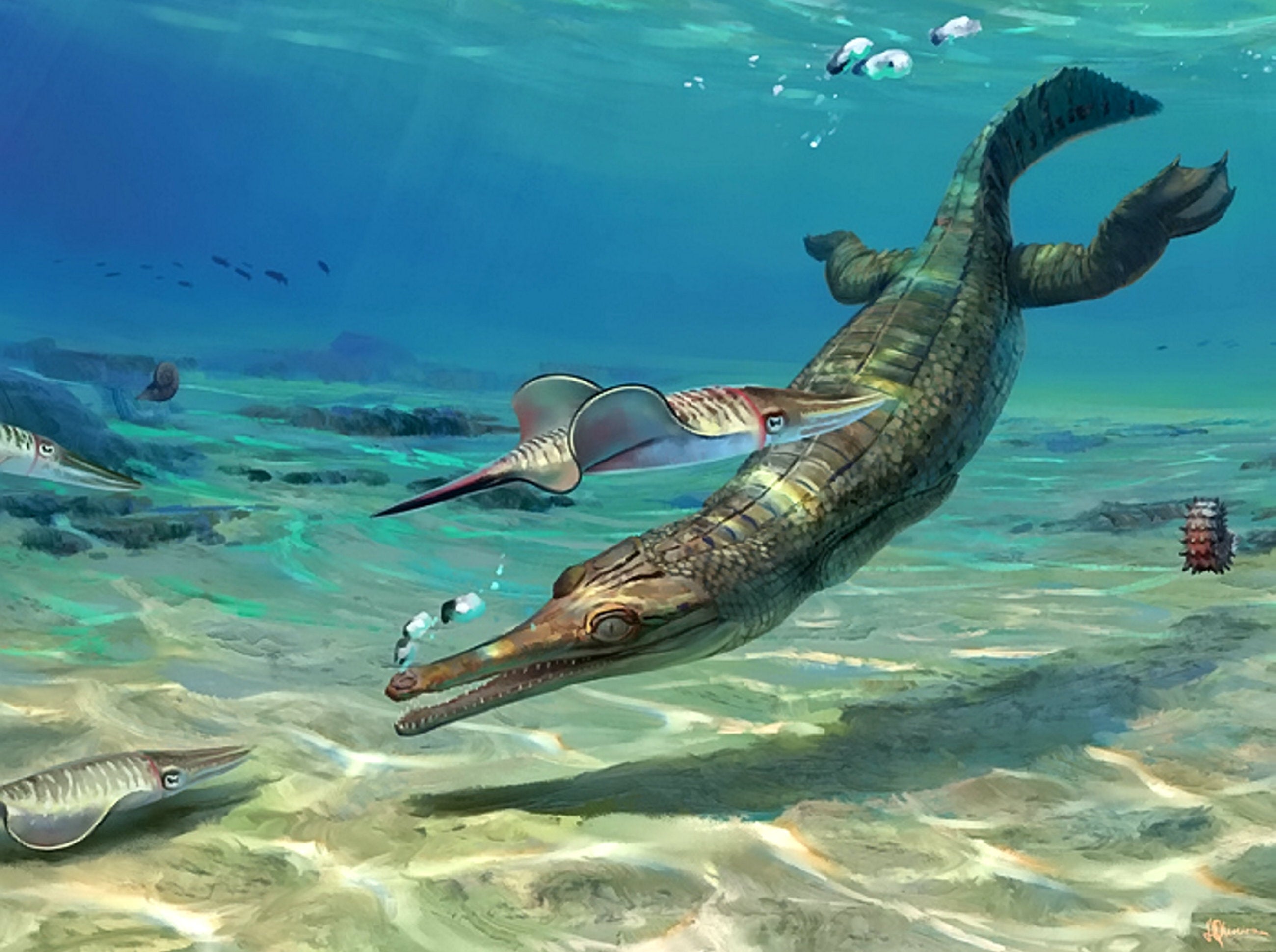 185 million-year-old crocodile ancestor discovered on Britain’s Jurassic Coast