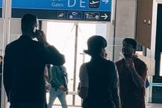 ‘Show me my dogs!’: passenger has bizarre meltdown at Istanbul airport