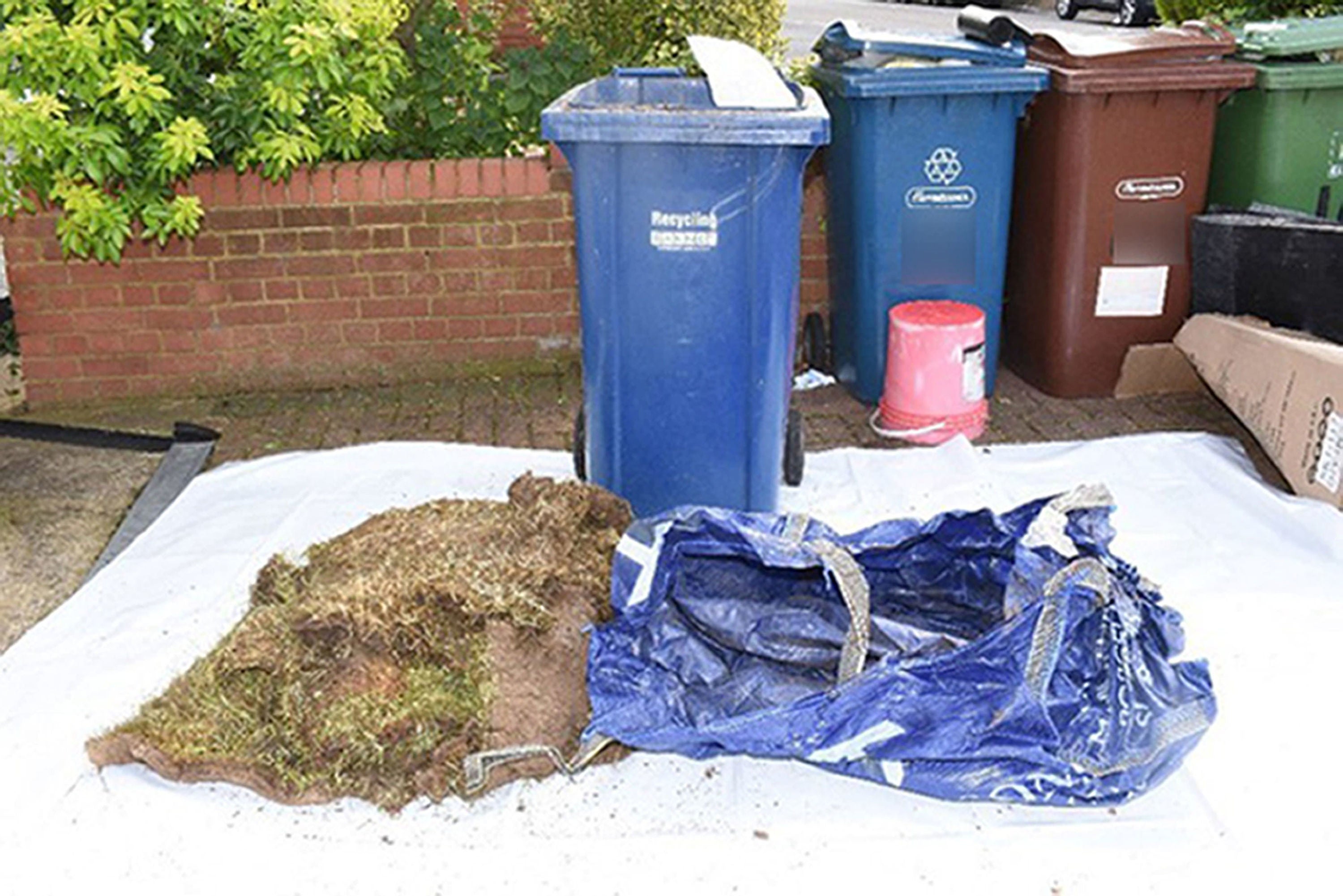 The wheelie bin where the body of Ms Kam was found