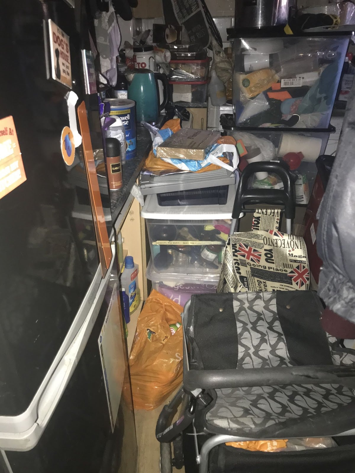 RSPCA officers found dogs inside a flat that looked like a ‘hoarder’s property’