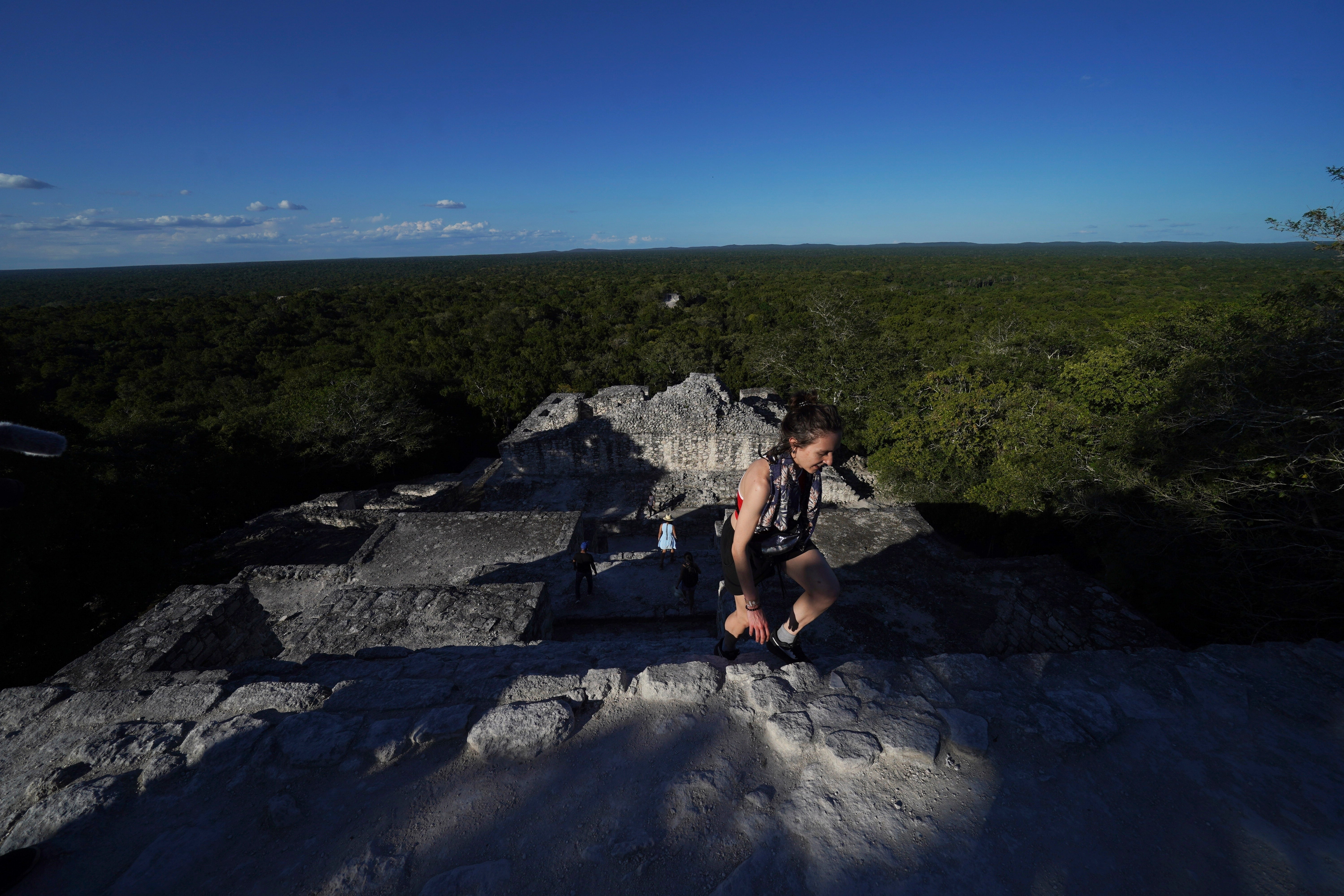 Mexico Train Biodiversity
