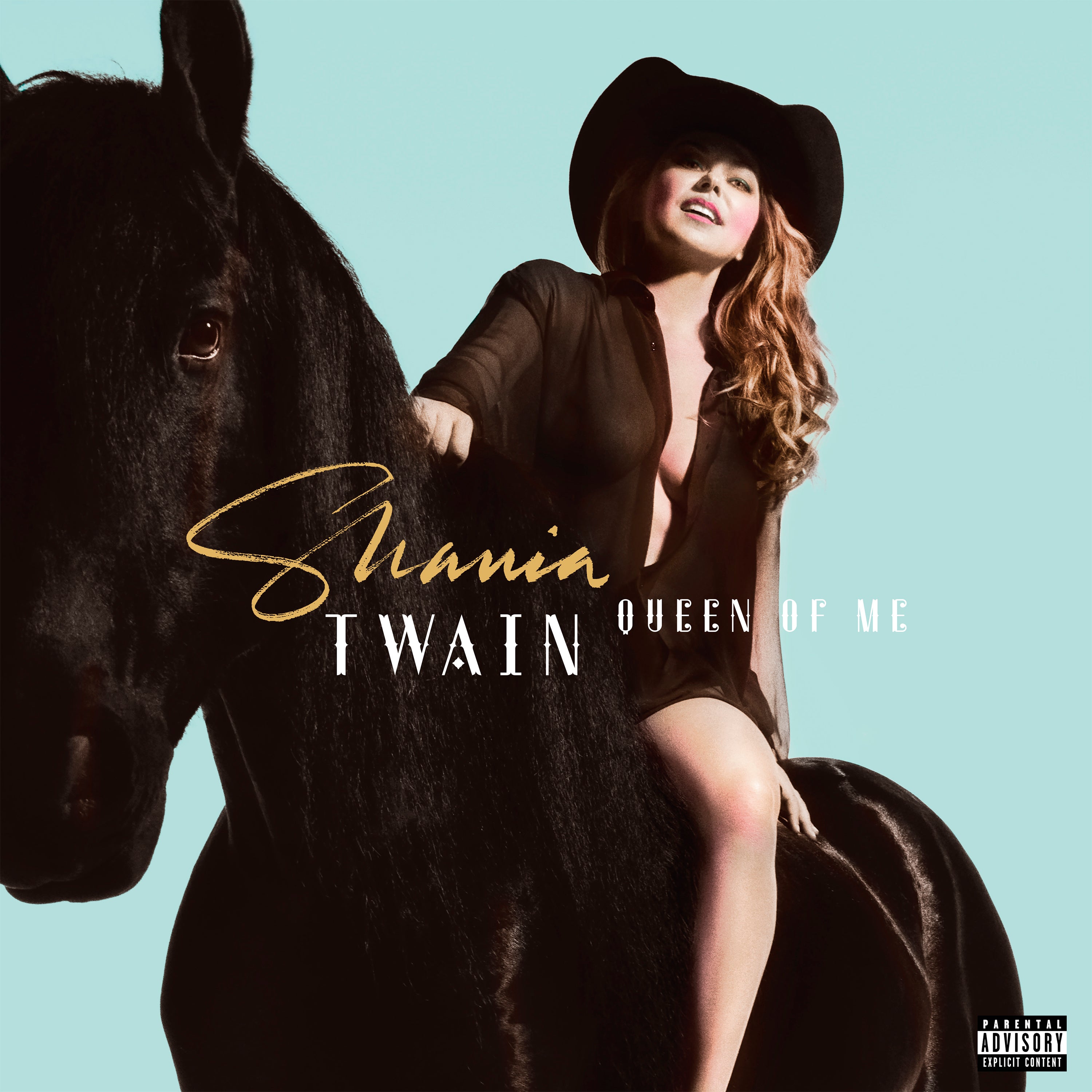Music Review - Shania Twain