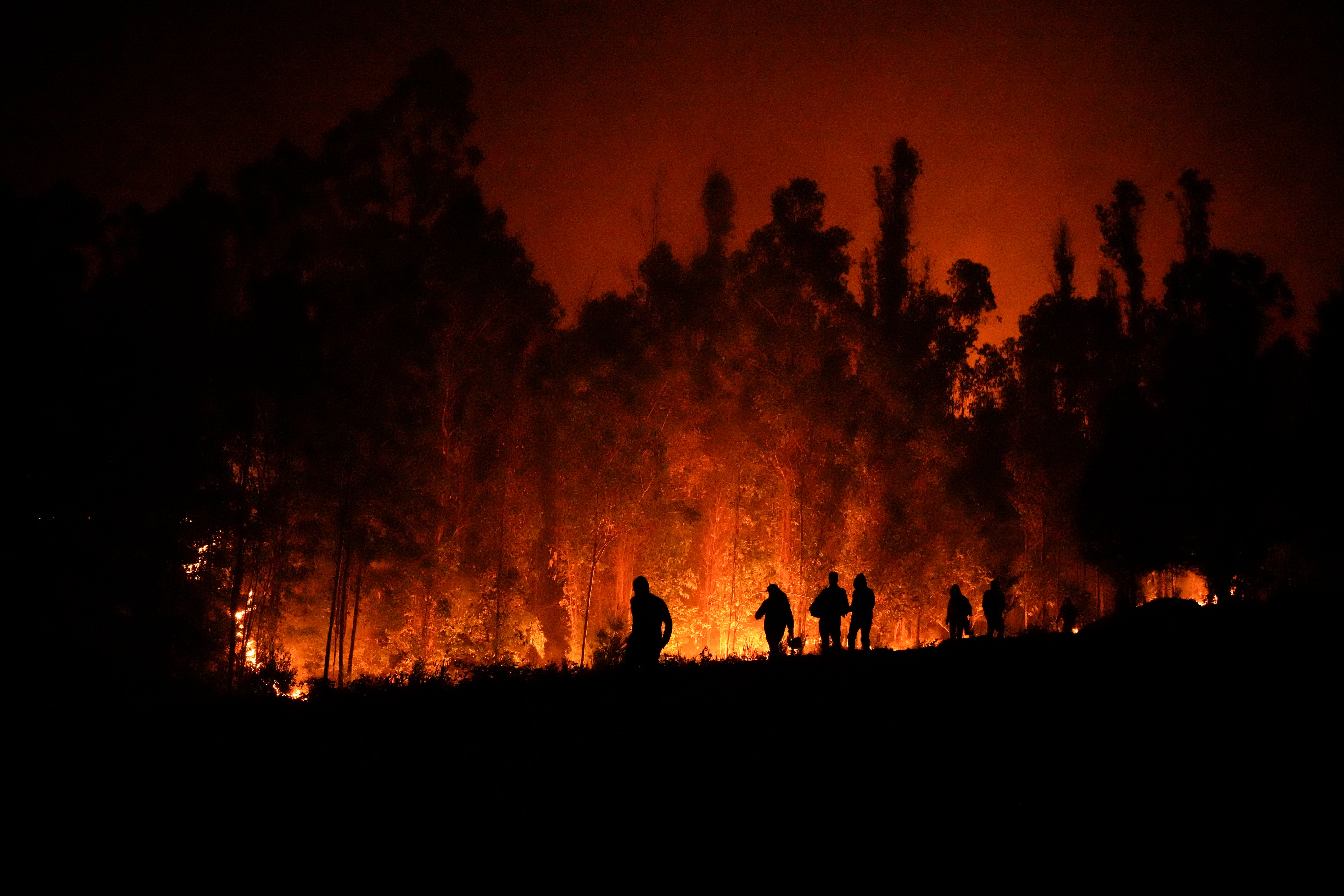 APTOPIX Chile Wildfires