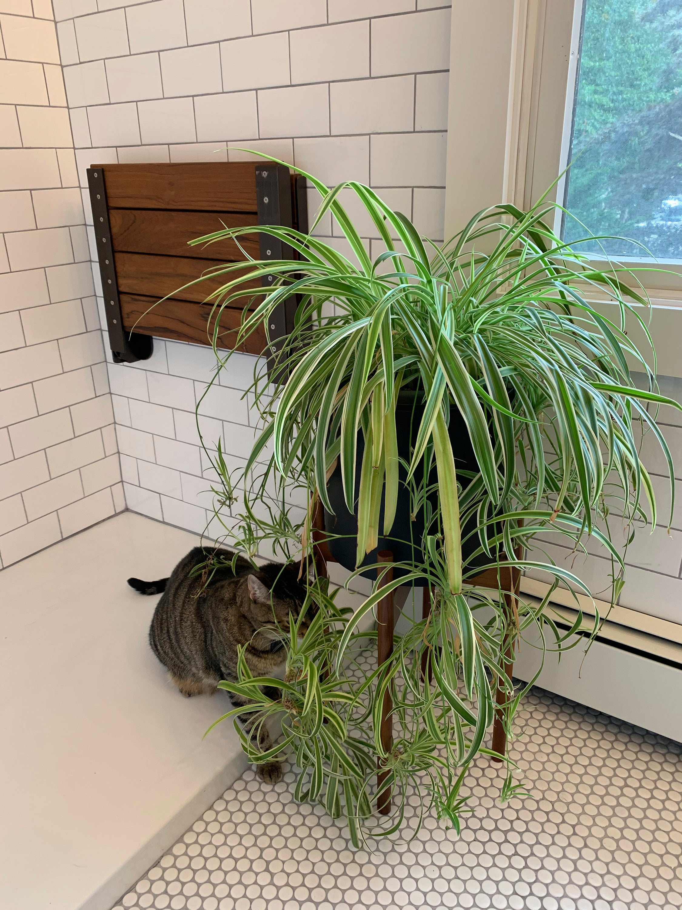 Gardening-Pets and Flowers