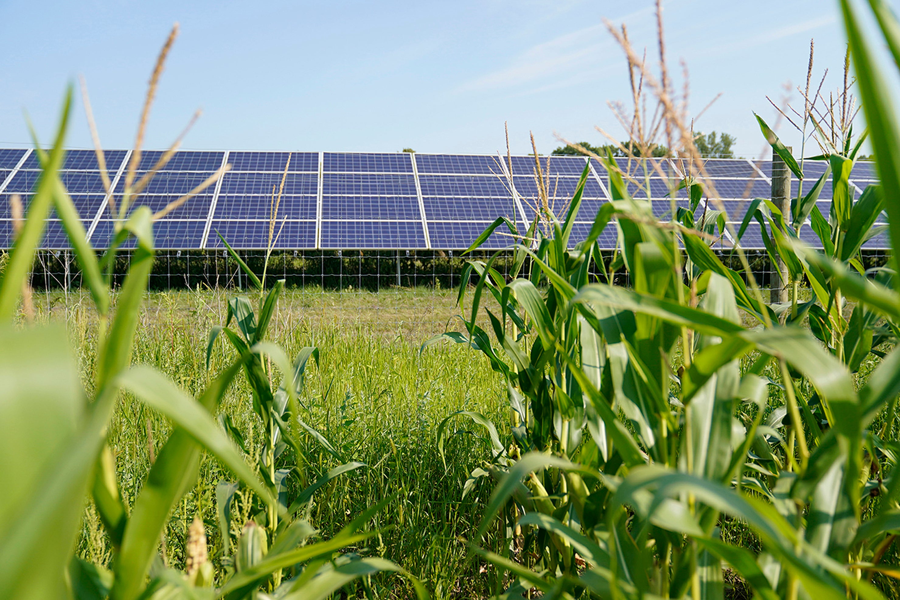 Clean Power Minnesota