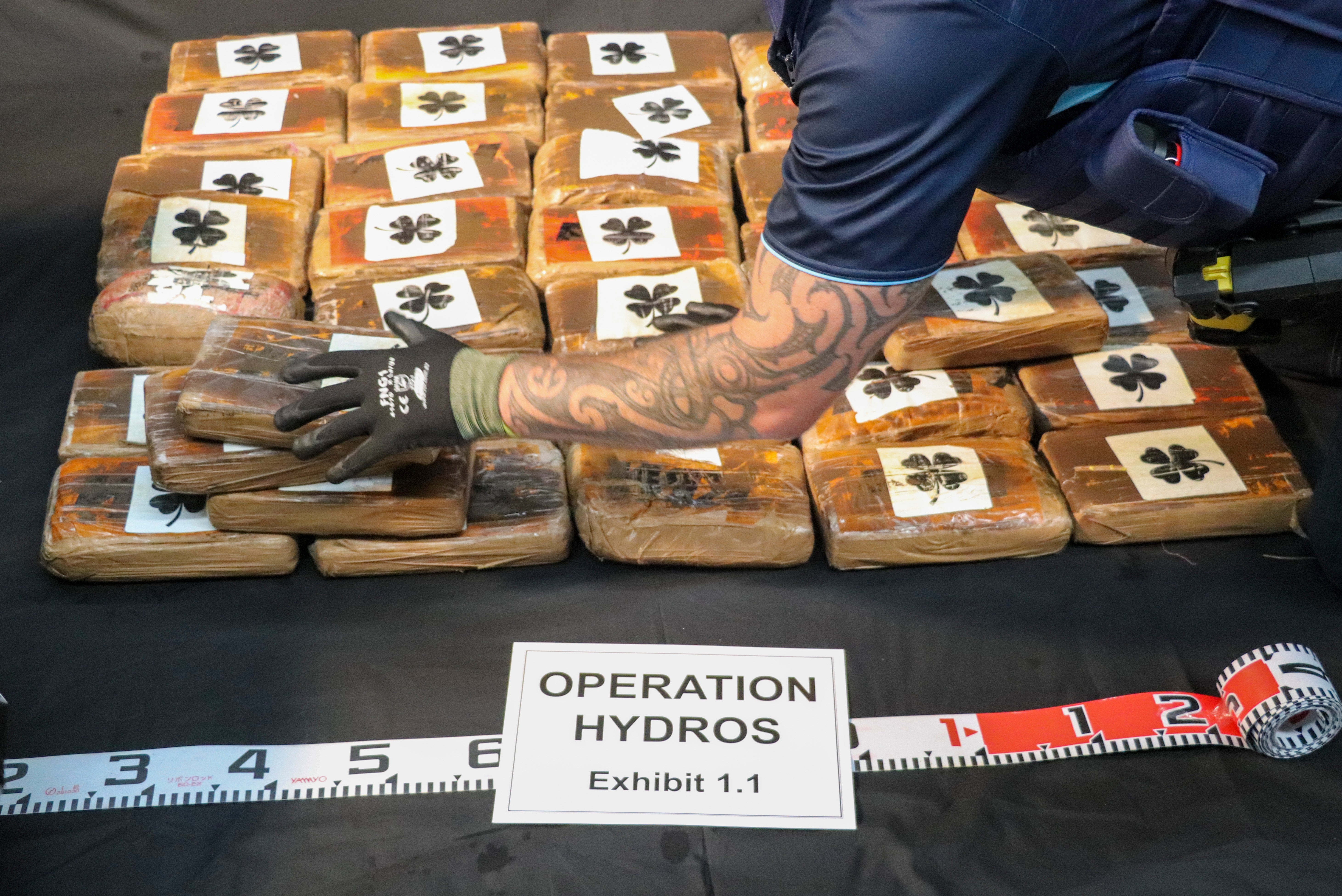 New Zealand Drug Haul