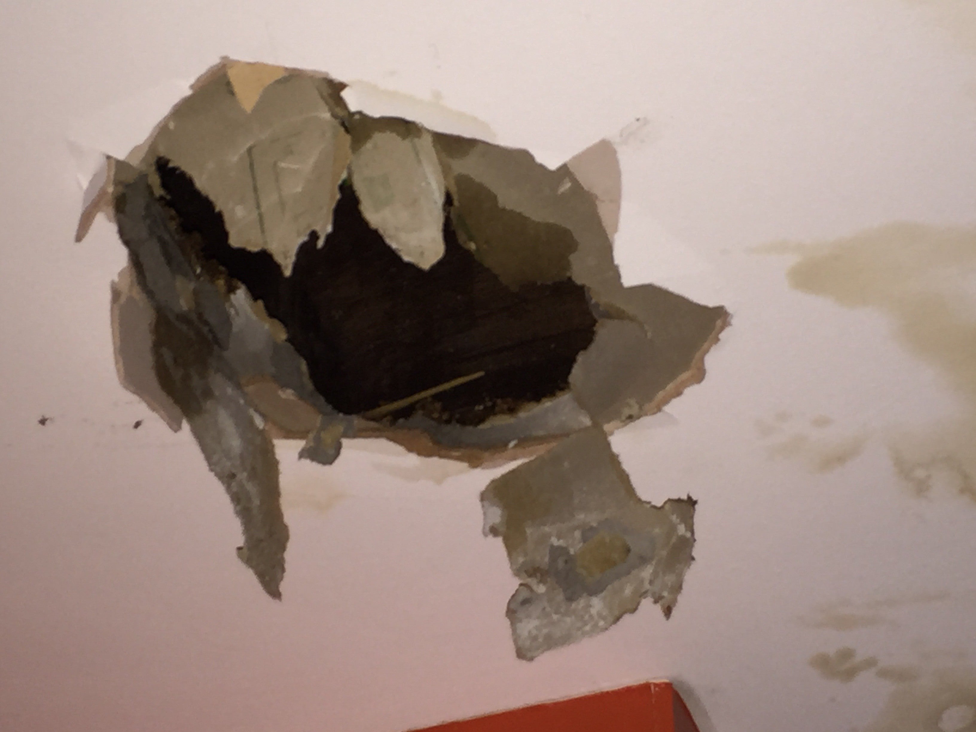 The ceiling of Ms Mohammed’s flat fell in in 2016