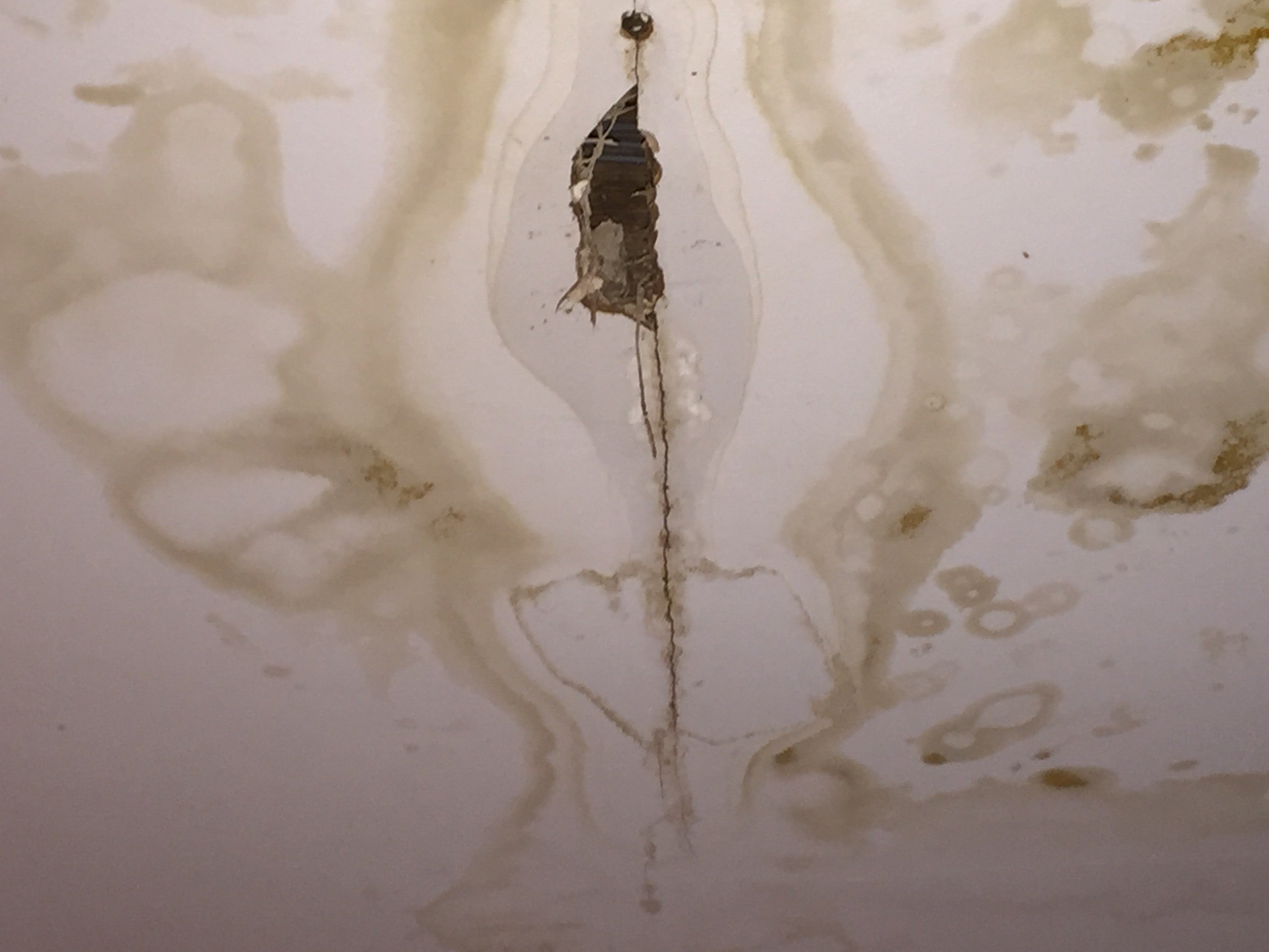 Leaks at the flat caused damage to the ceiling