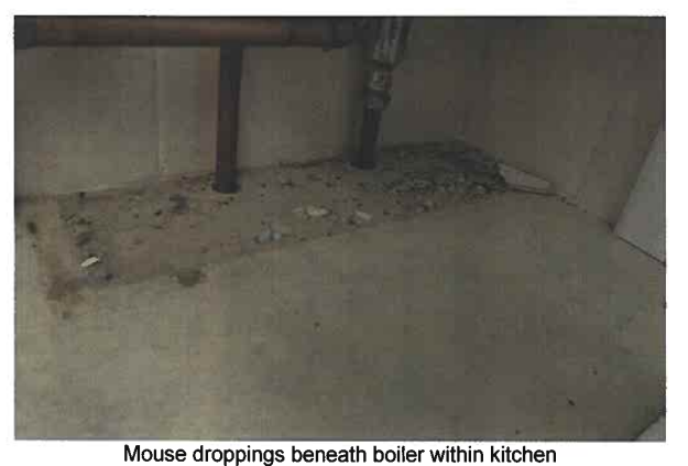 Photos submitted to court show mouse droppings inside the flat