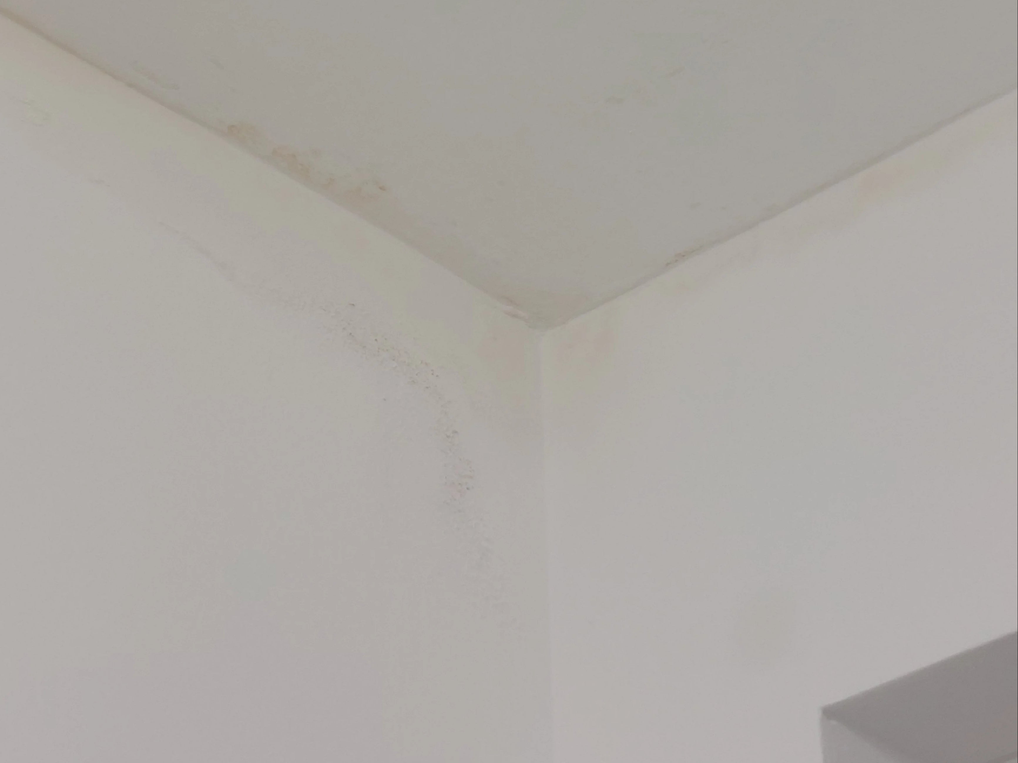 Sabrena Rahman had to live in temporary accommodation for three years while mould and damp was treated in her home but she says she returned to more issues