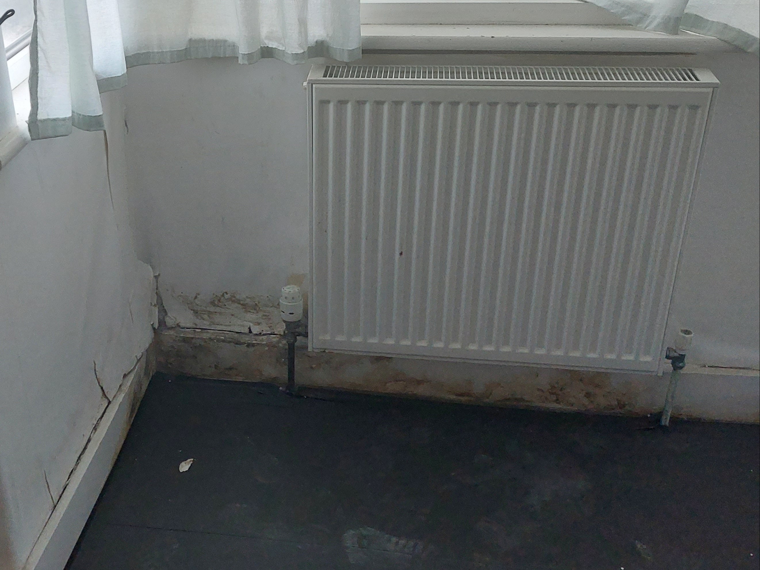 Sabrena Rahman says she moved back into her flat after three years away to find mould patched on the wall