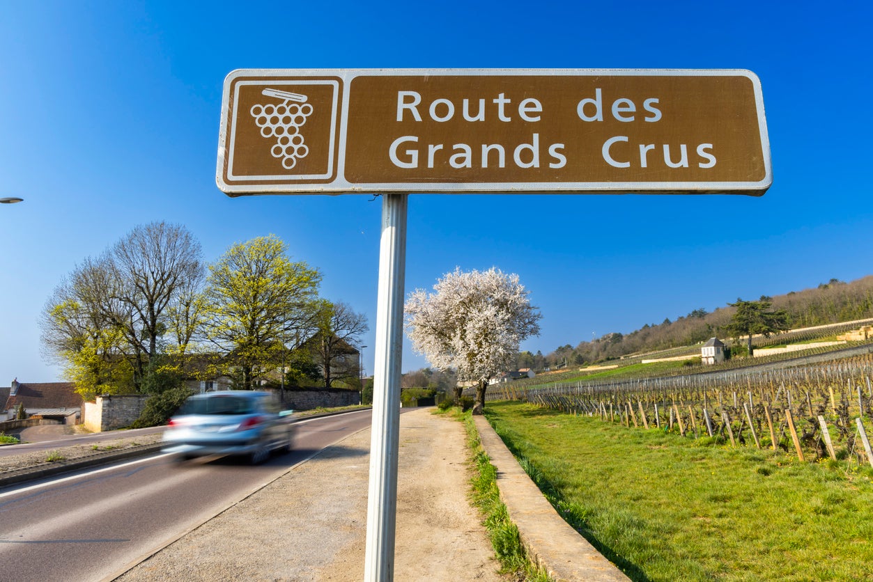 Wine road (Route des Grands Crus) near Beaune, Burgundy, France