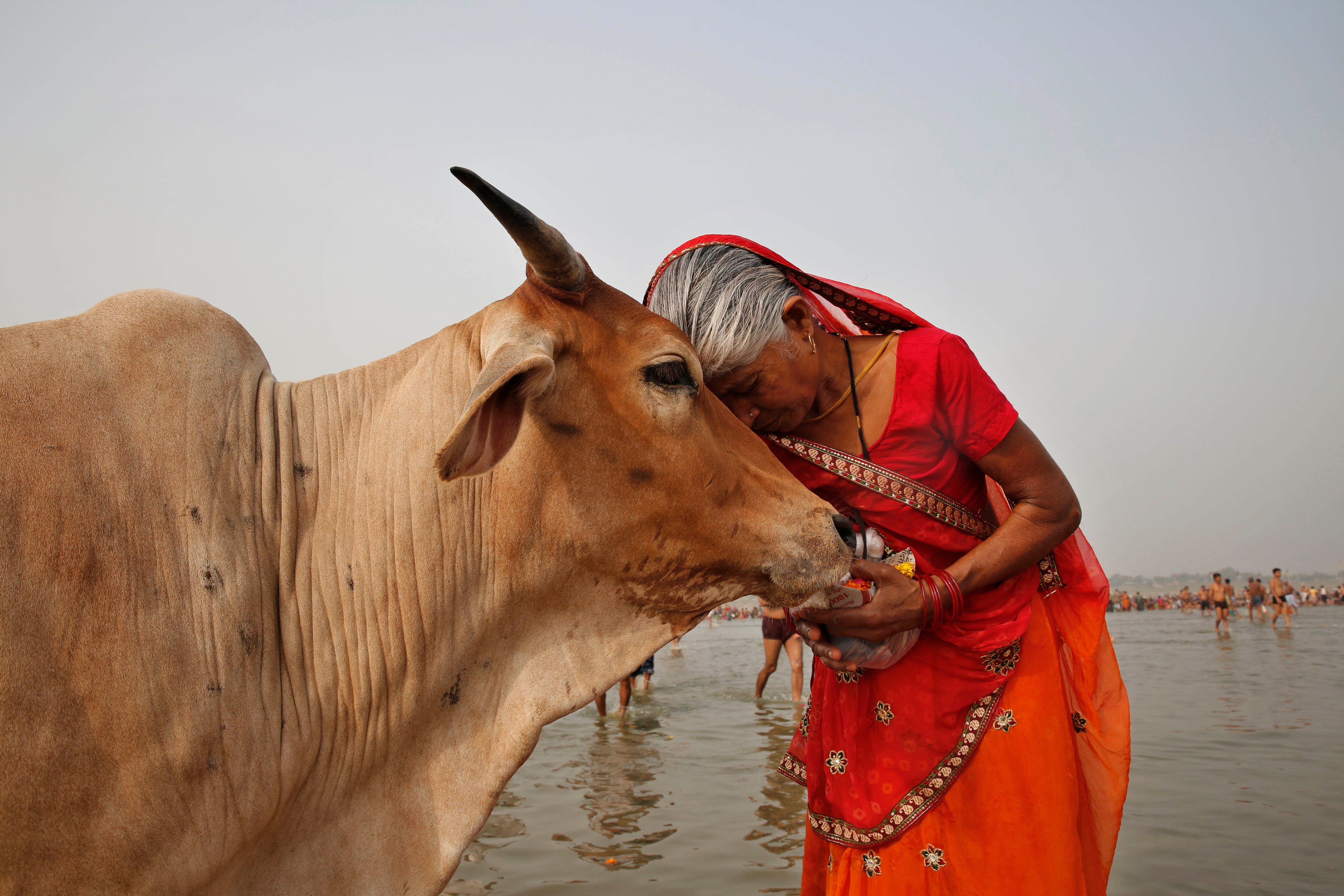 India Hindu Valentine's Day