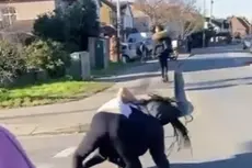 MPs urge home secretary to ensure ‘justice is served’ following ‘horrific’ attack on Black schoolgirl