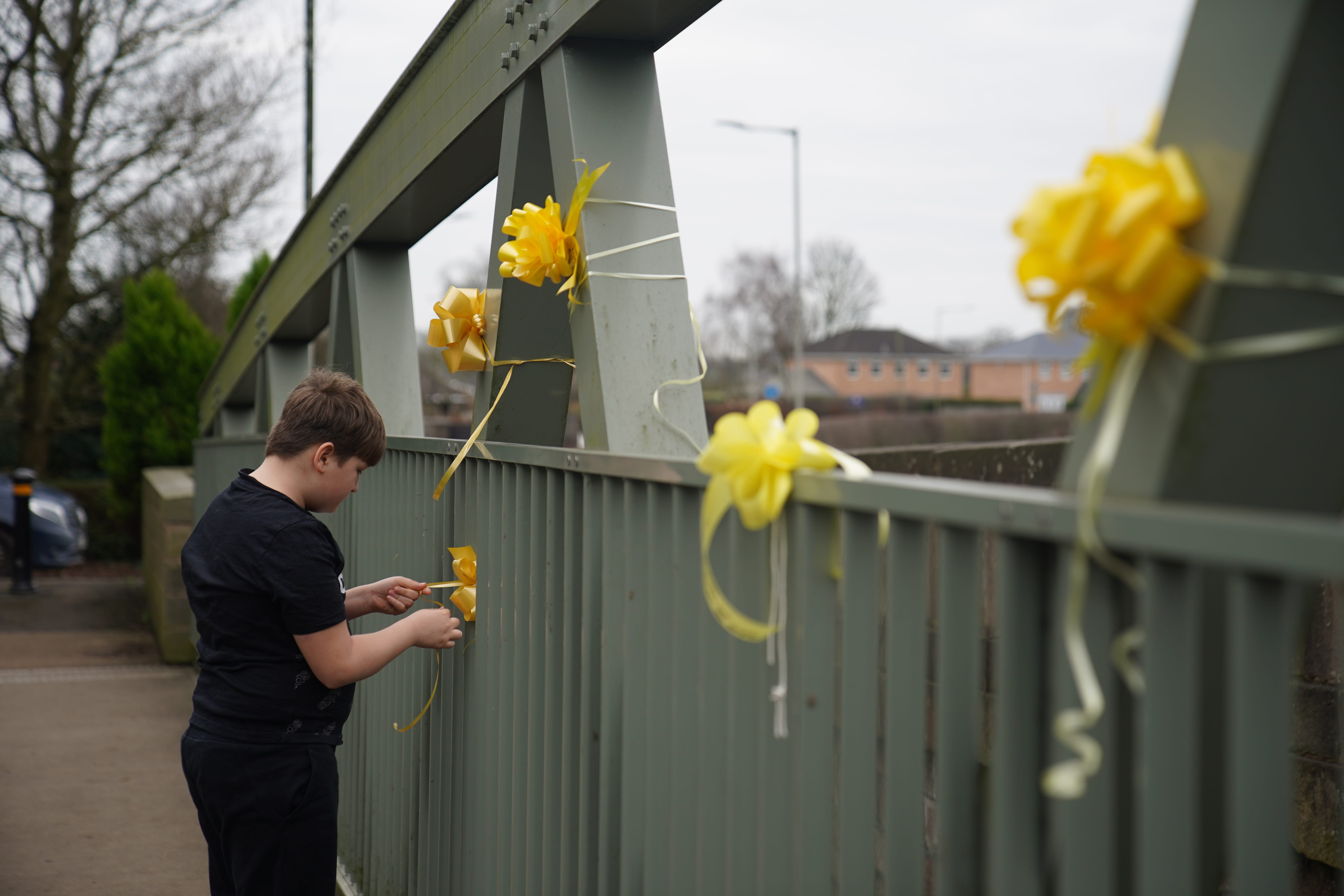 Members of the public are being urged to turn their Facebook yellow to support the ‘Bring Nikki Home’ campaign (Peter Byrne/PA)