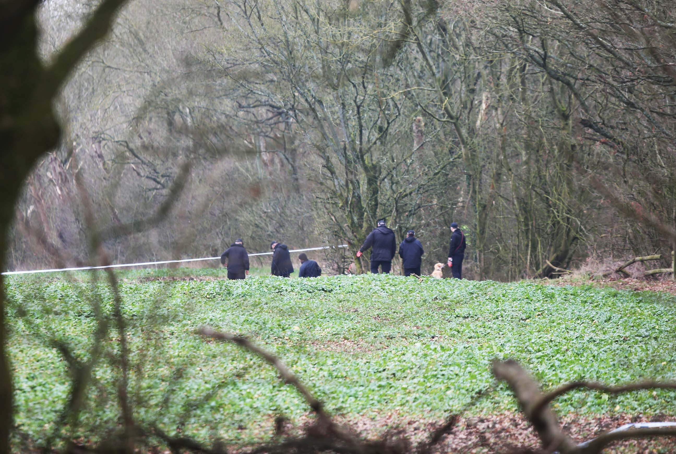 Officers comb a patch of grass in the park