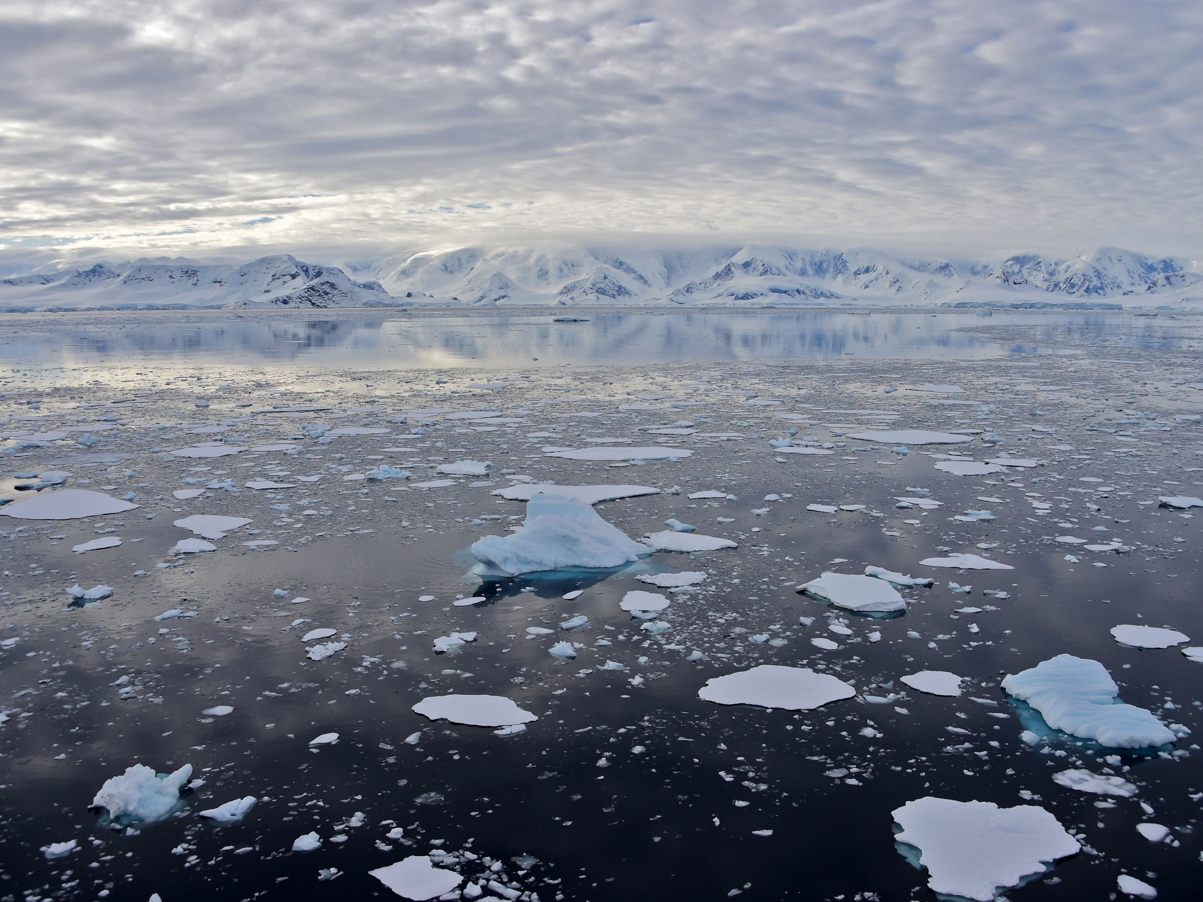 A glacier at Chiriguano Bay in South Shetland Islands