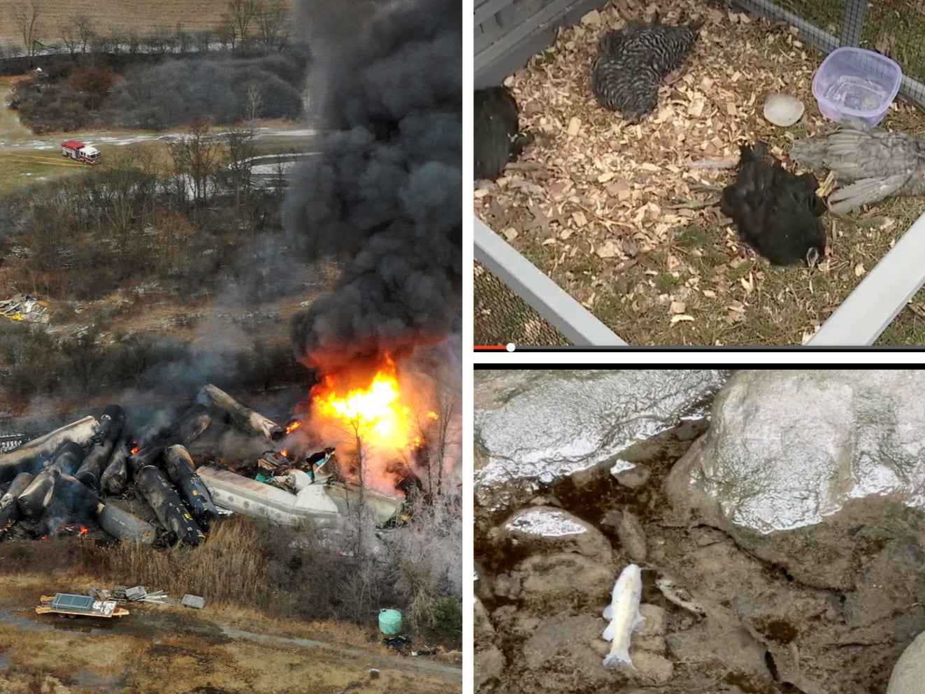 From left: The controlled detonation of derailed train cars carrying toxic chemicals; dead chickens and fish in the aftermath of the ecological disaster