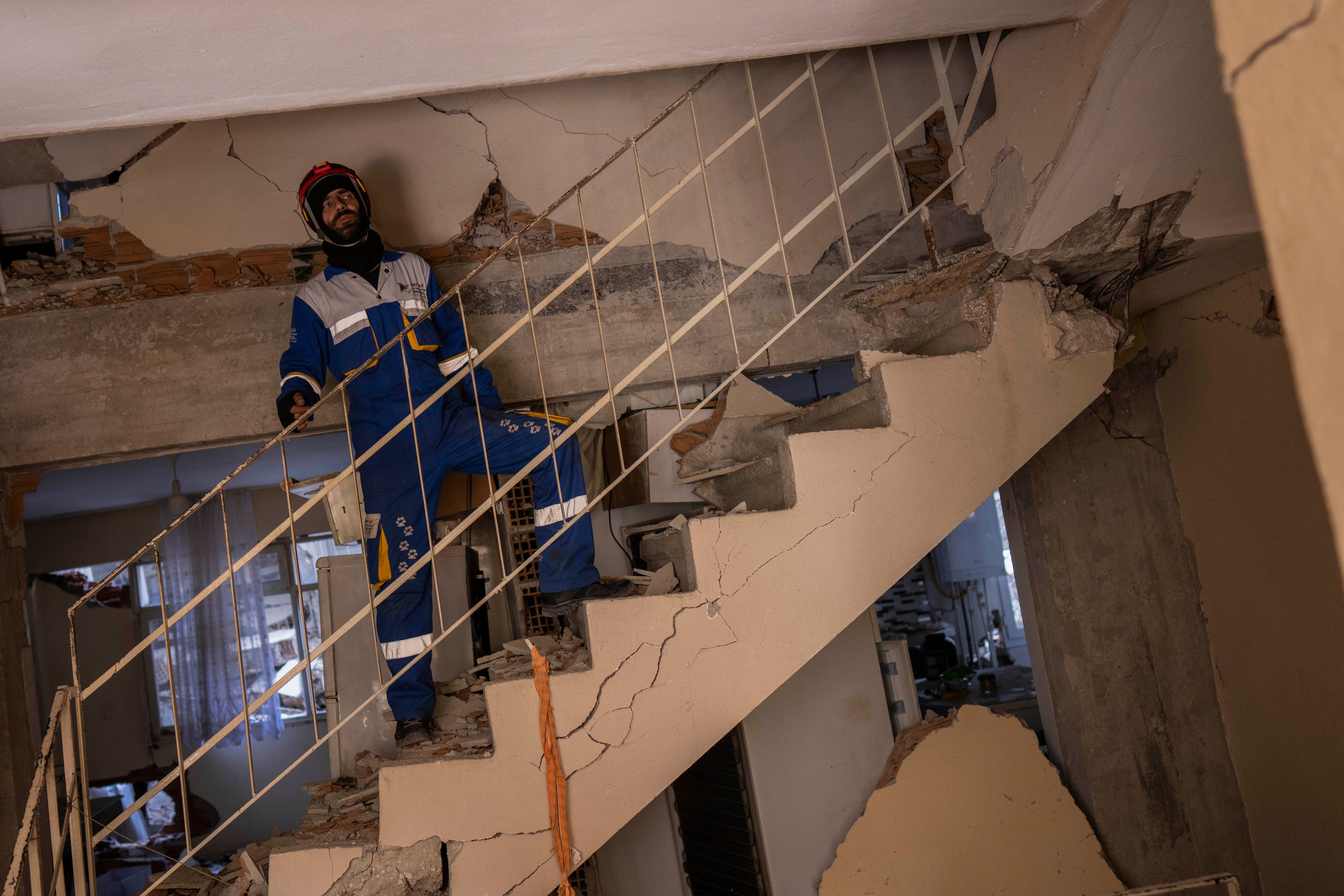 Turkey Syria Earthquake Animal Rescues