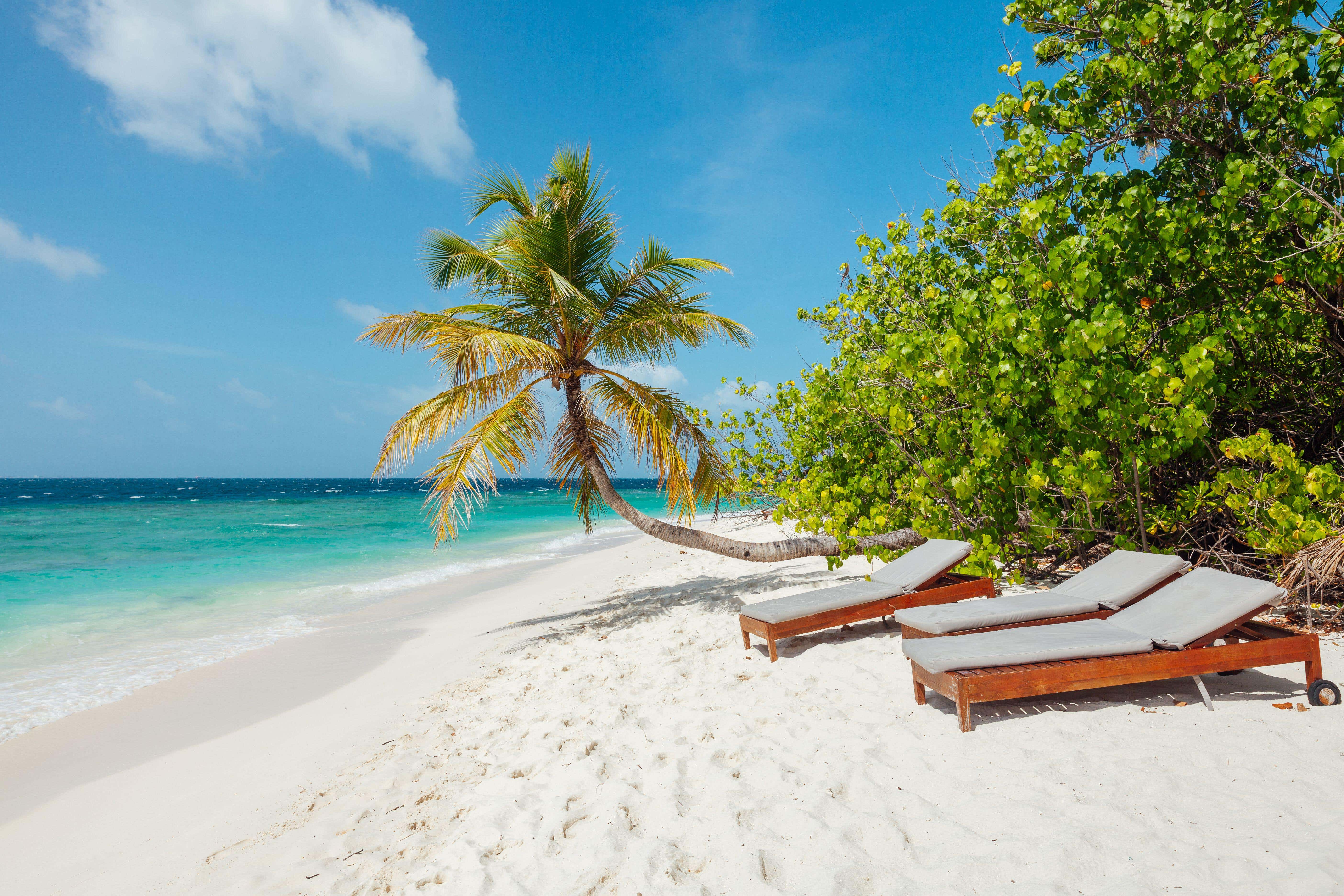 You can currently get money off a flight to the Maldives