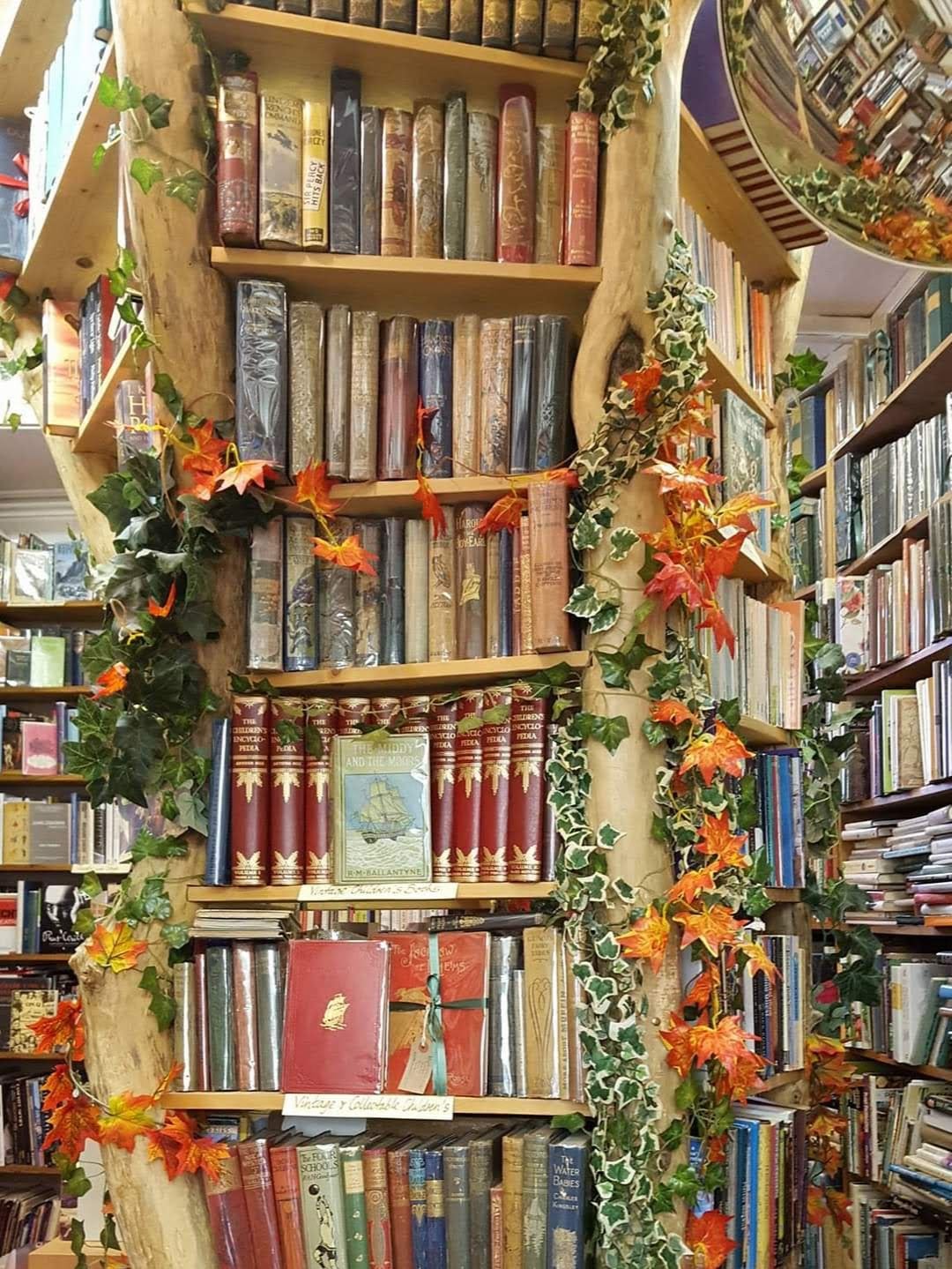 A bookshelf in Lloyds of Kew Bookshop