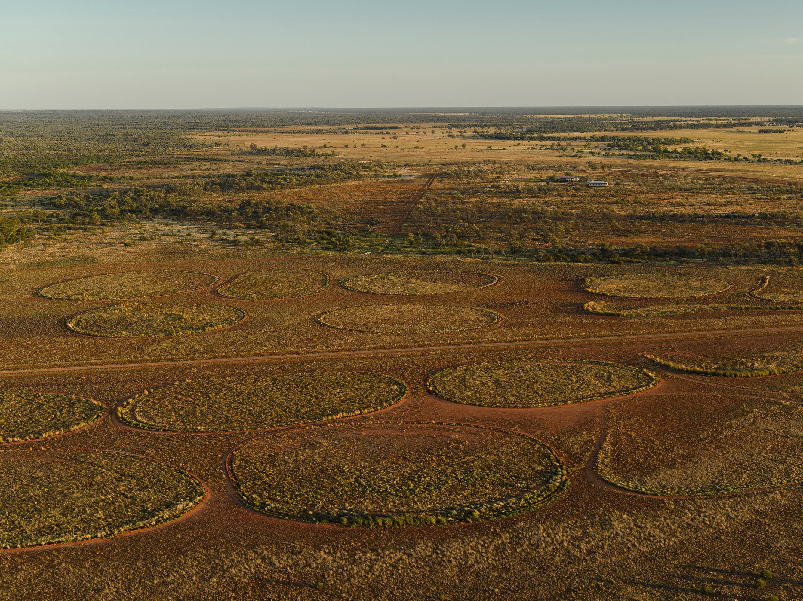 Many years ago, the Godfreys cut large circular mounds into a clay pan paddock that had been destroyed by overgrazing