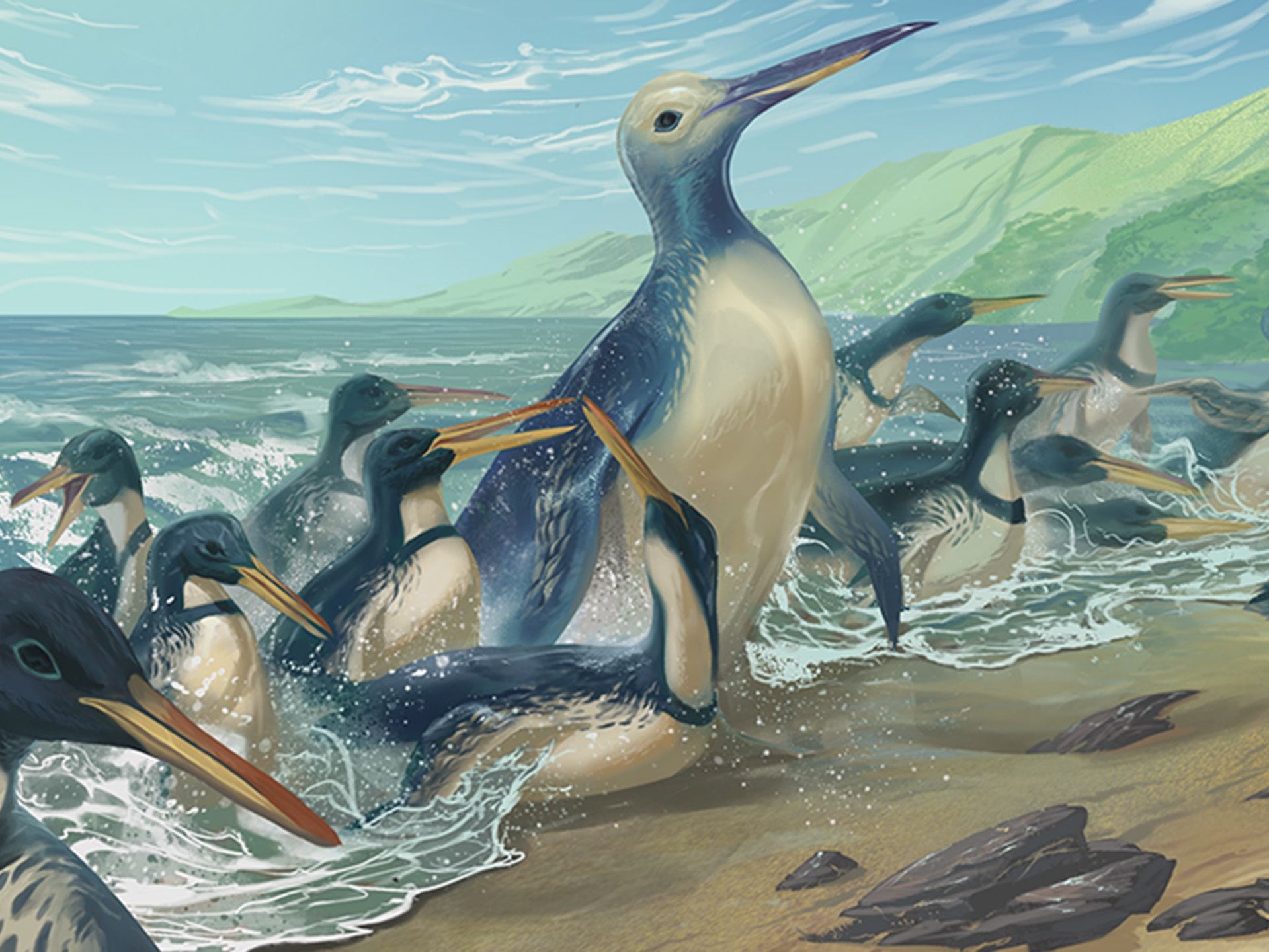 Life reconstructions of Kumimanu fordycei and Petradyptes stonehousei