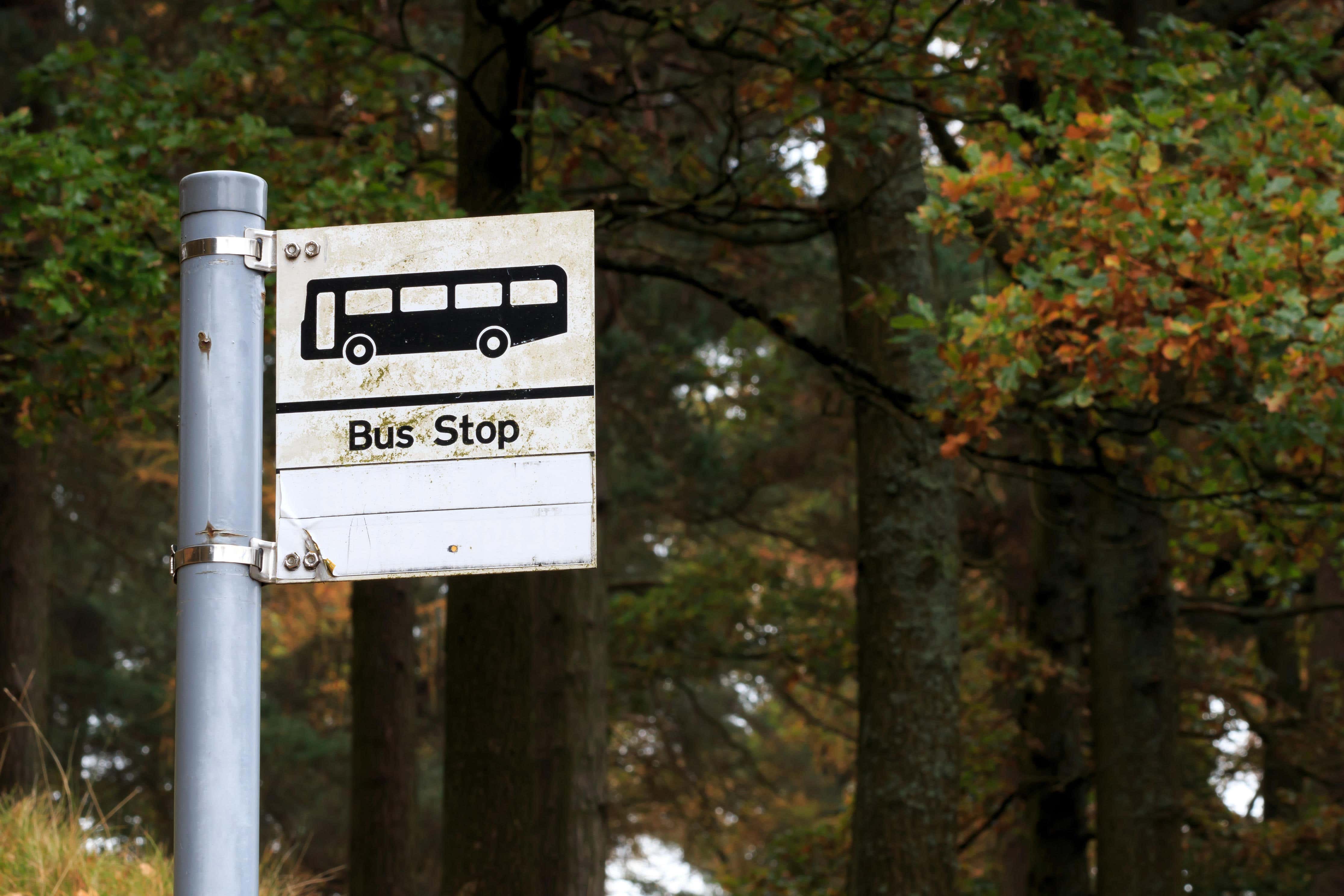 Operators planning to cancel or change routes are required to give six weeks’ notice (Alamy/PA)