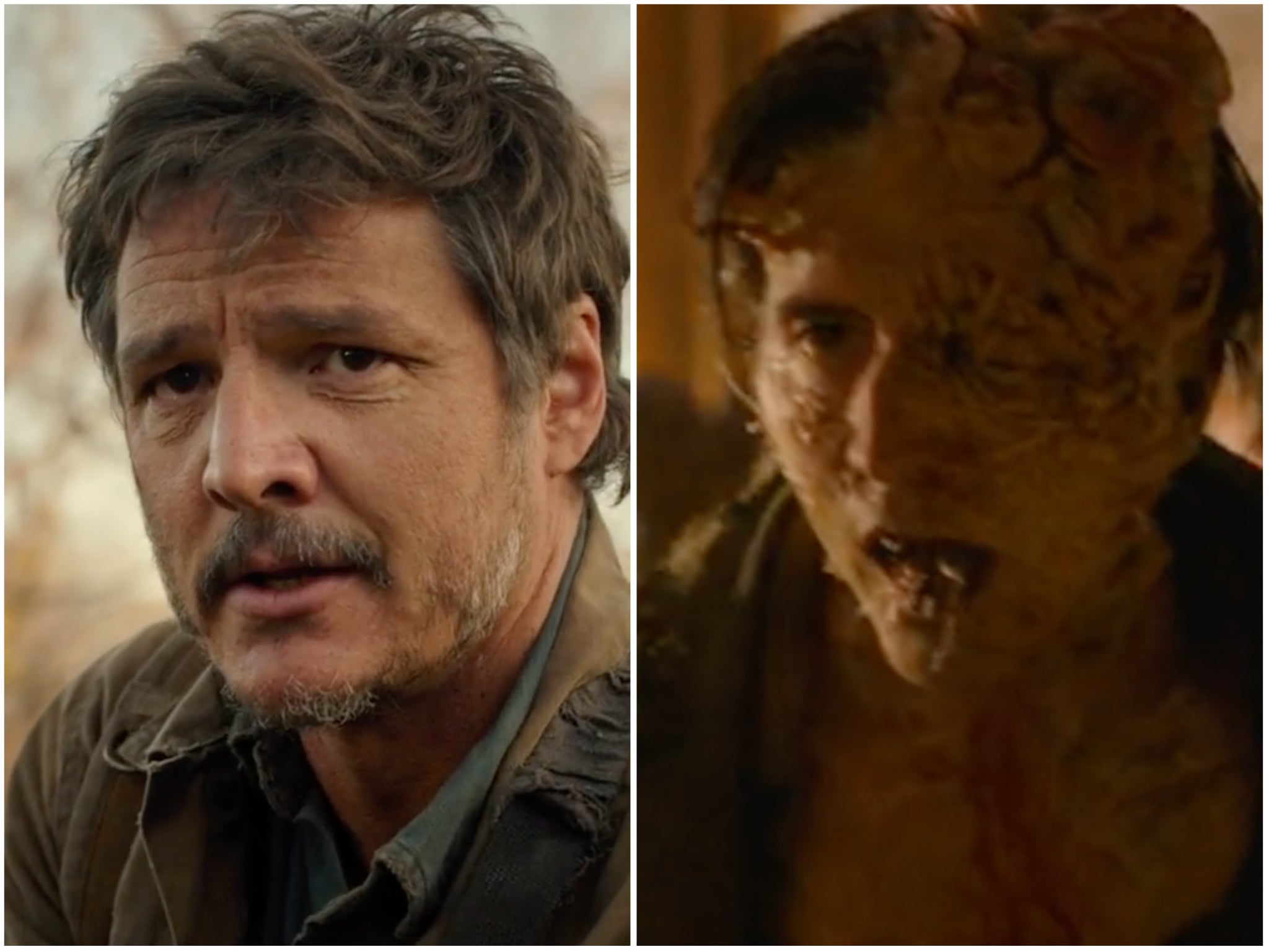 The Last of Us makers branded ‘pretentious’ for ‘banning’ certain word on set