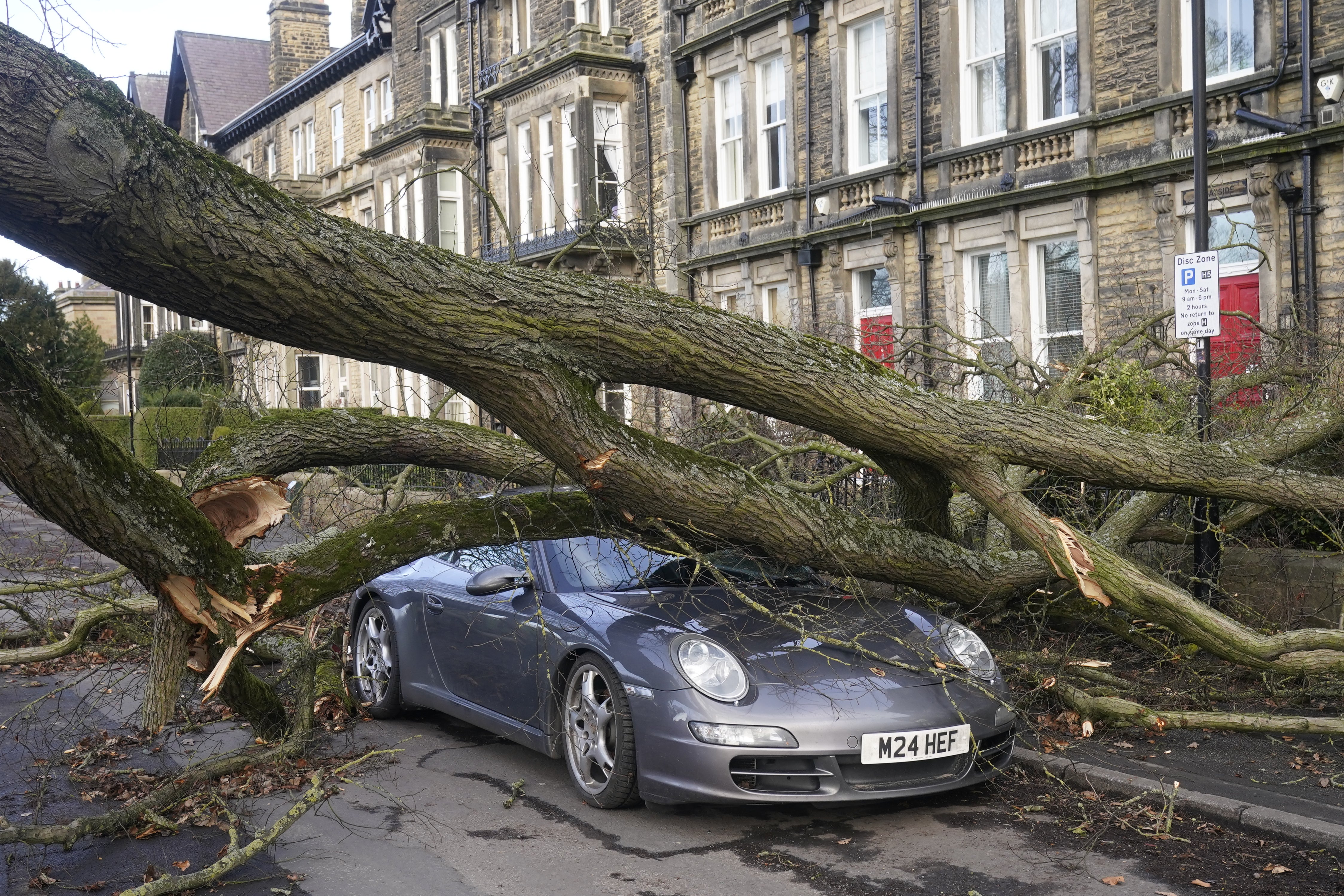 A fallen tree flattened a Porsche in Harrogate