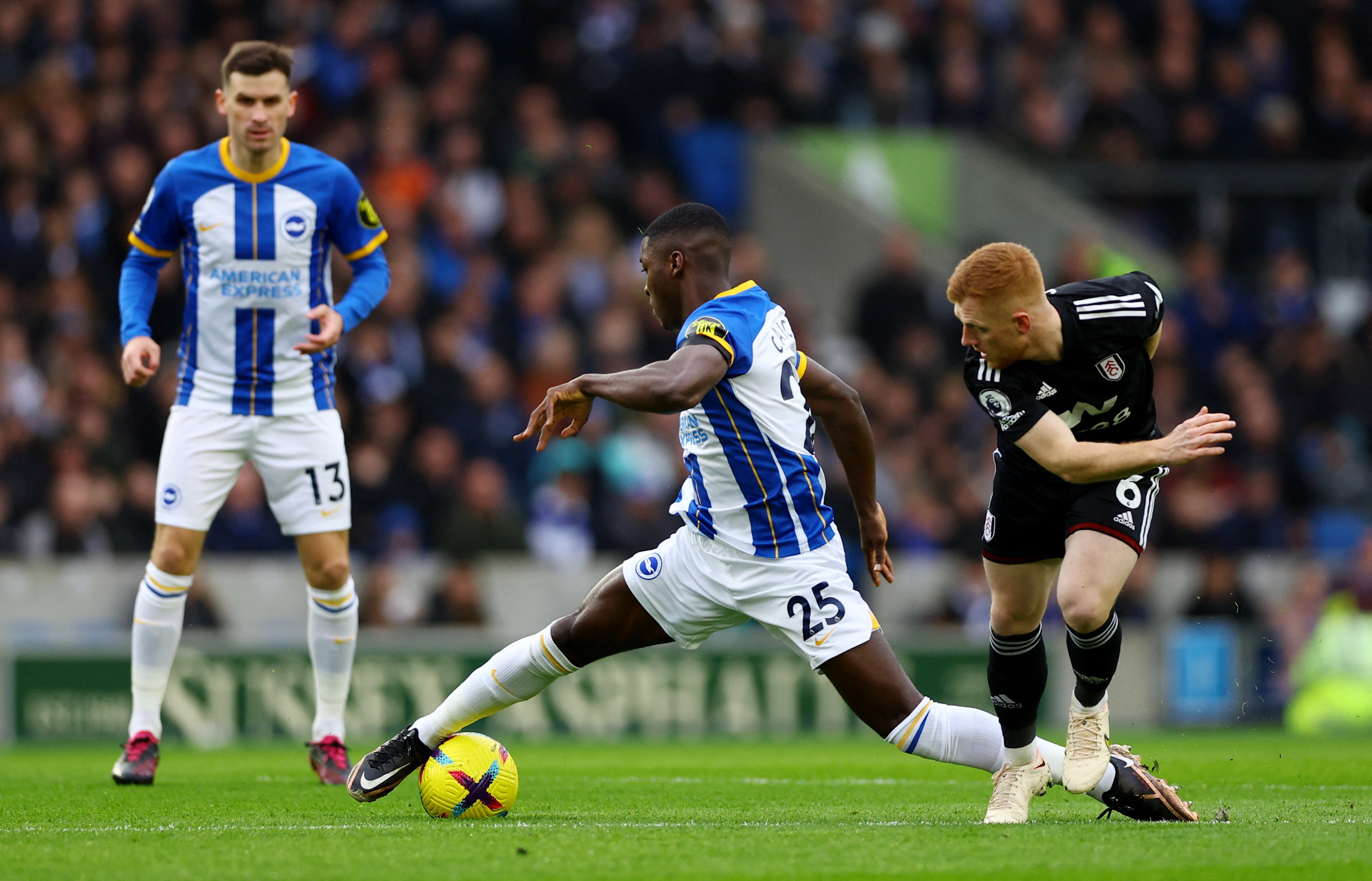 Brighton Moises Caicedo battles with Harrison Reed in midfield