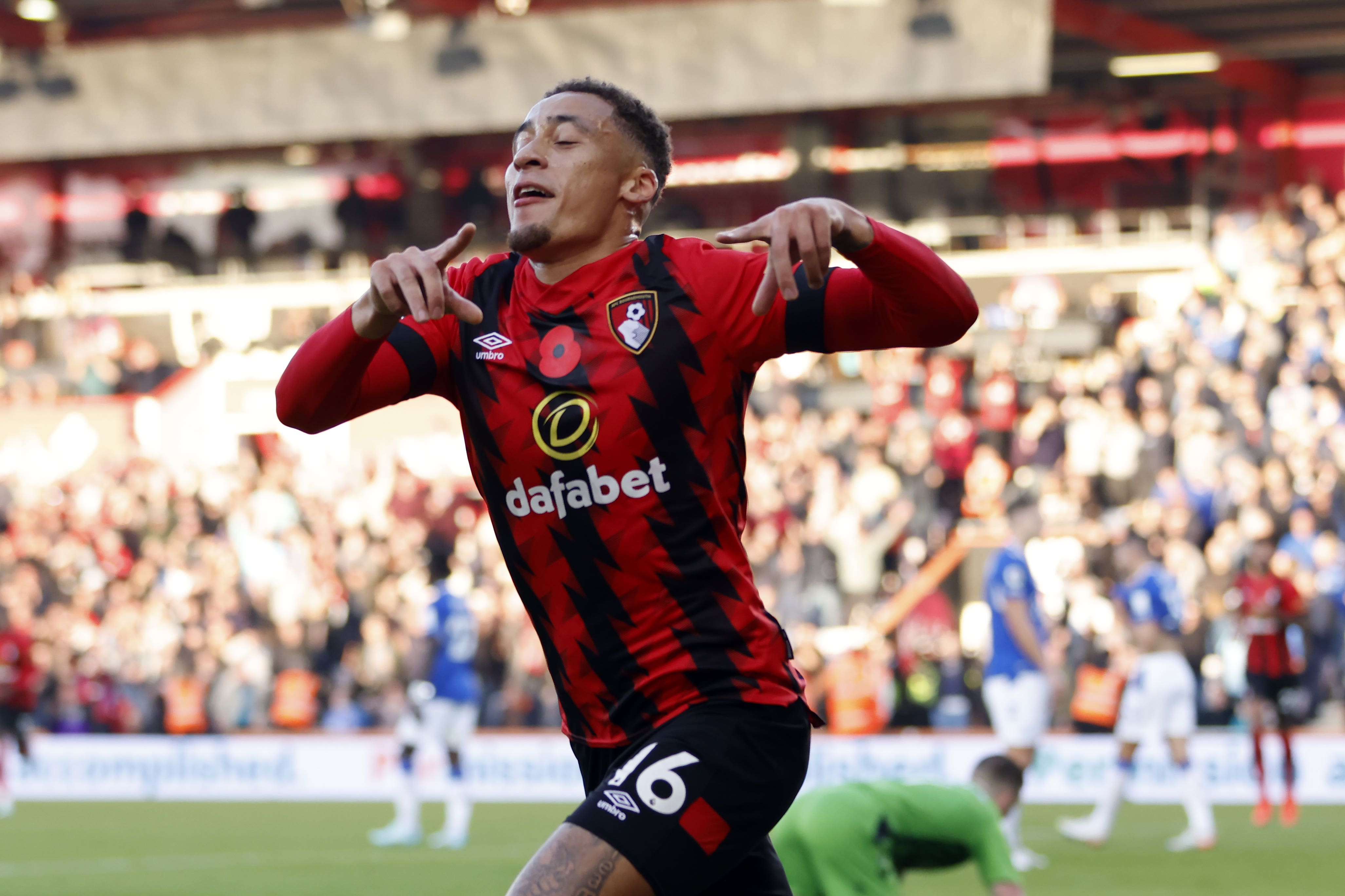 Marcus Tavernier scored the winner for Bournemouth at Wolves (Steven Paston/PA)