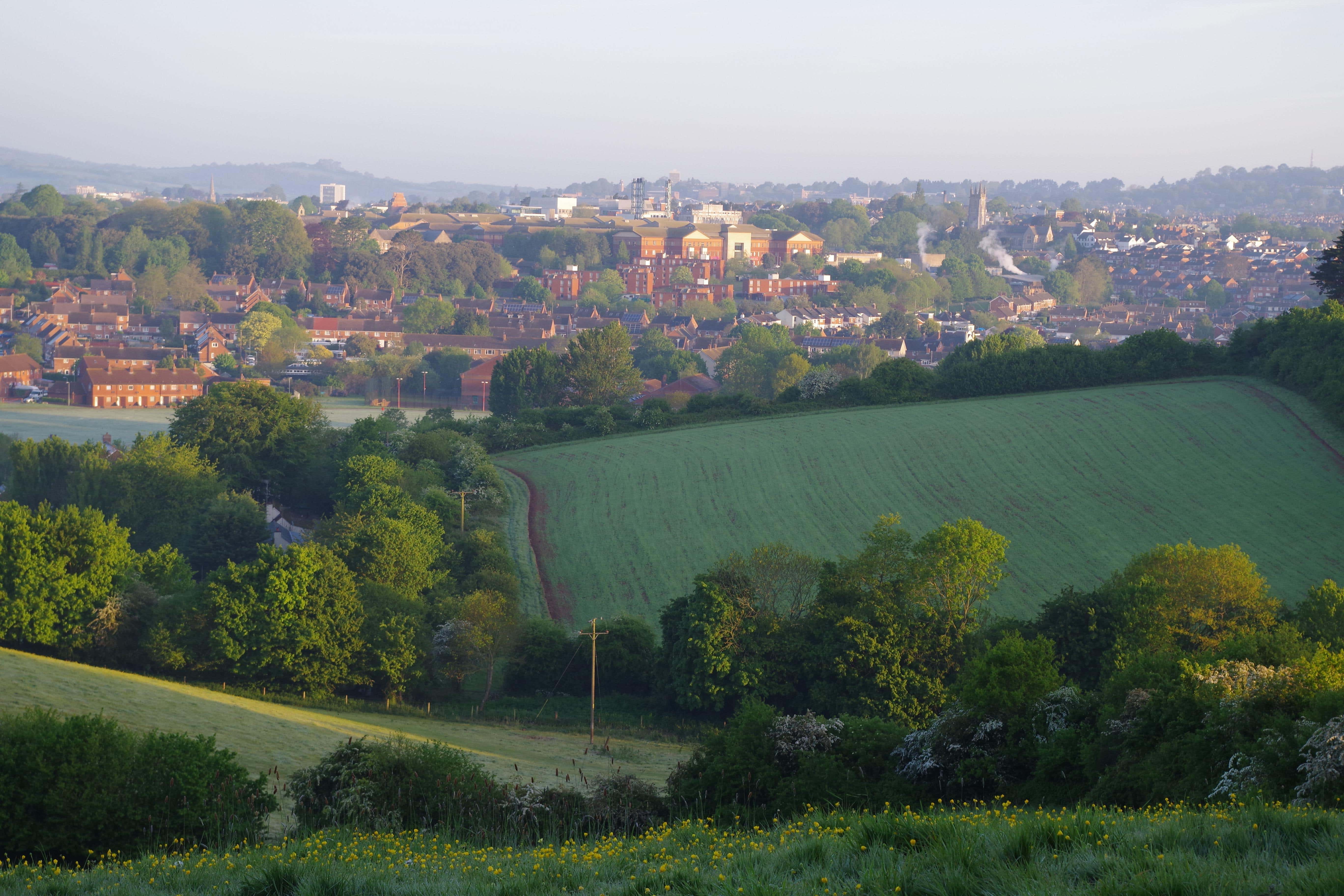 Cameron Davis attacked 74-year-old Lorna England as she walked home through leafy Ludwell Valley Park in Exeter, Devon, on the afternoon of February 18 last year.