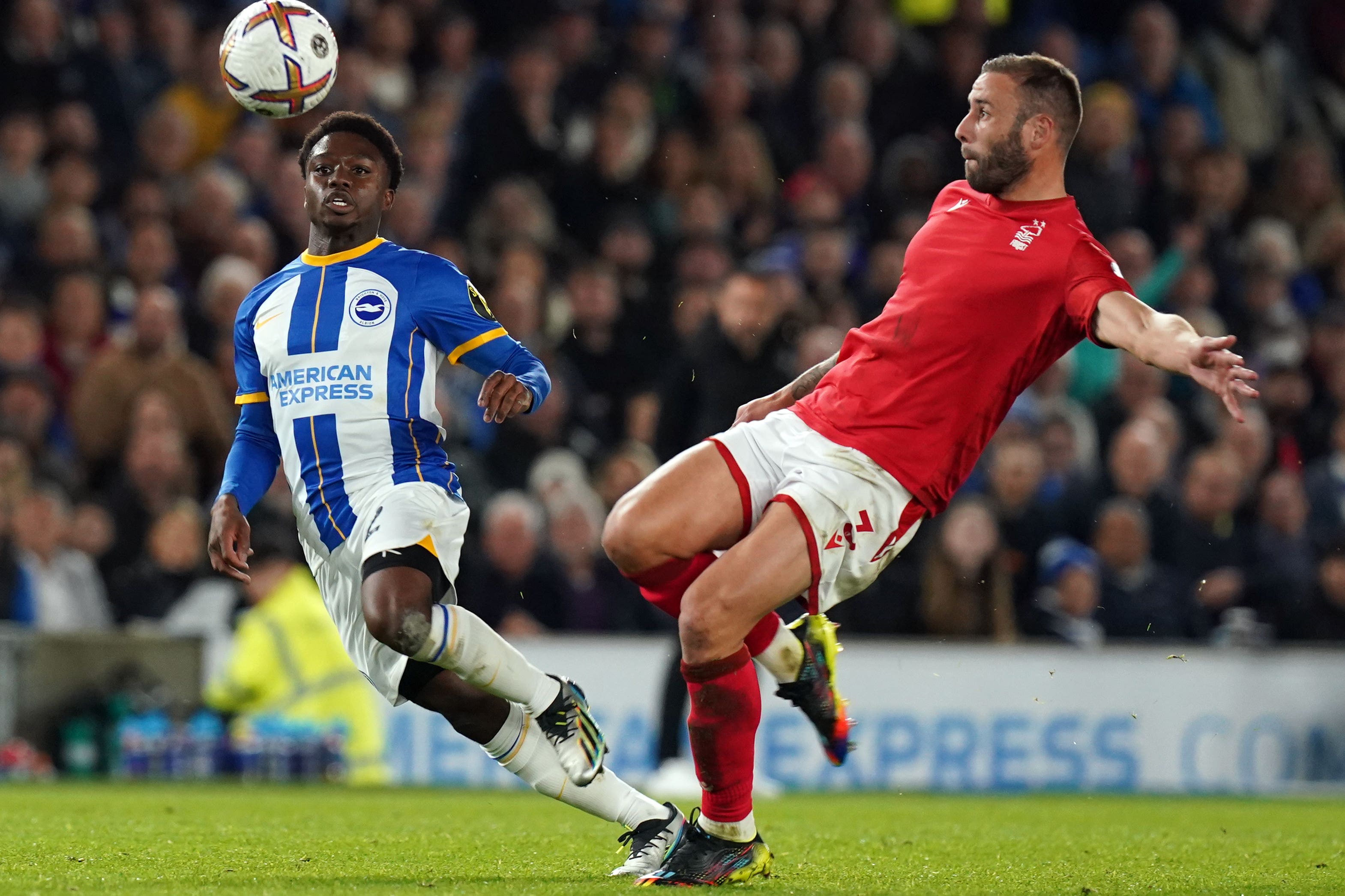 Forest want to add Steve Cook (right) to their Premier League squad (Gareth Fuller/PA)