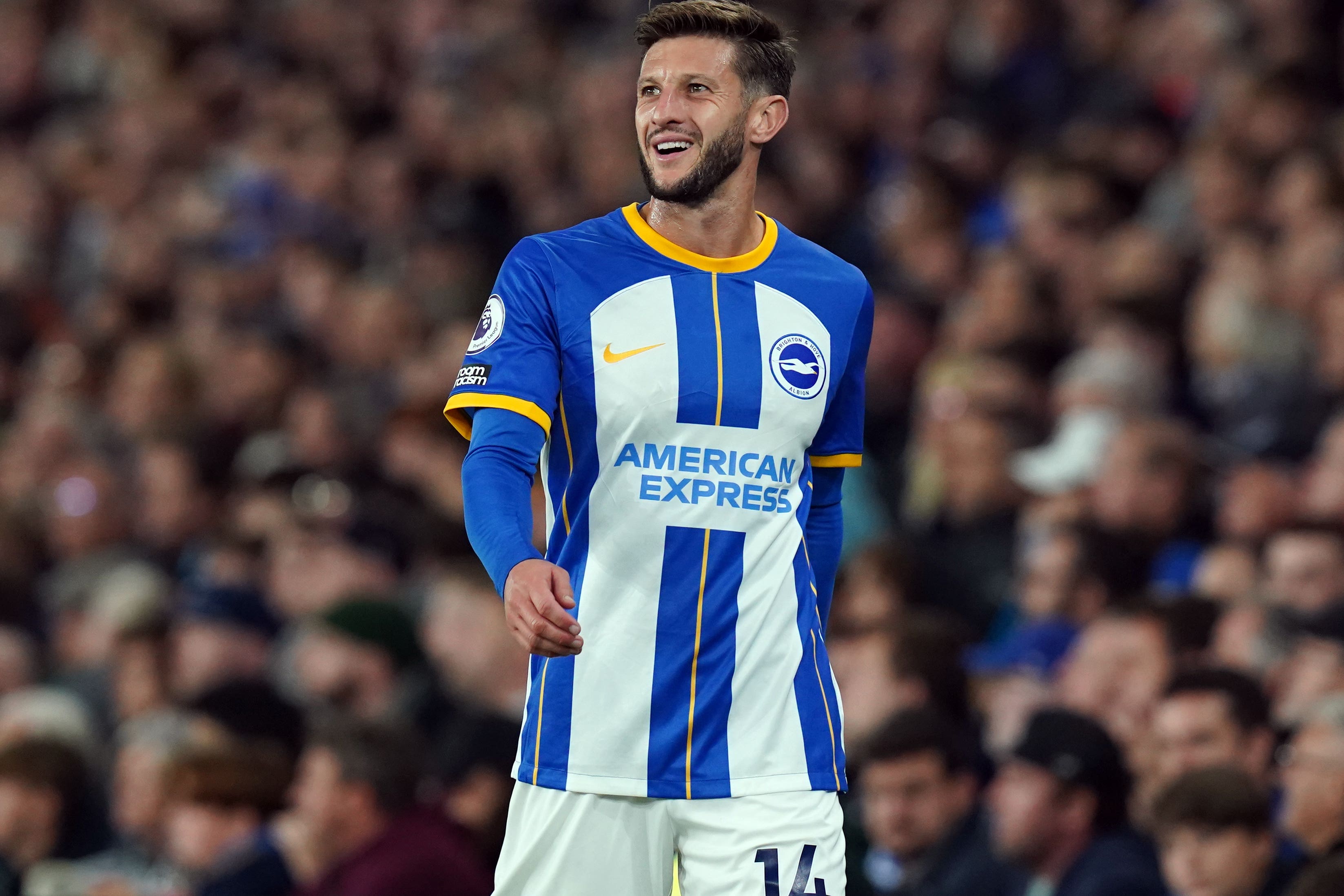 Injured Brighton midfielder Adam Lallana could miss the remainder of the season (Gareth Fuller/PA)