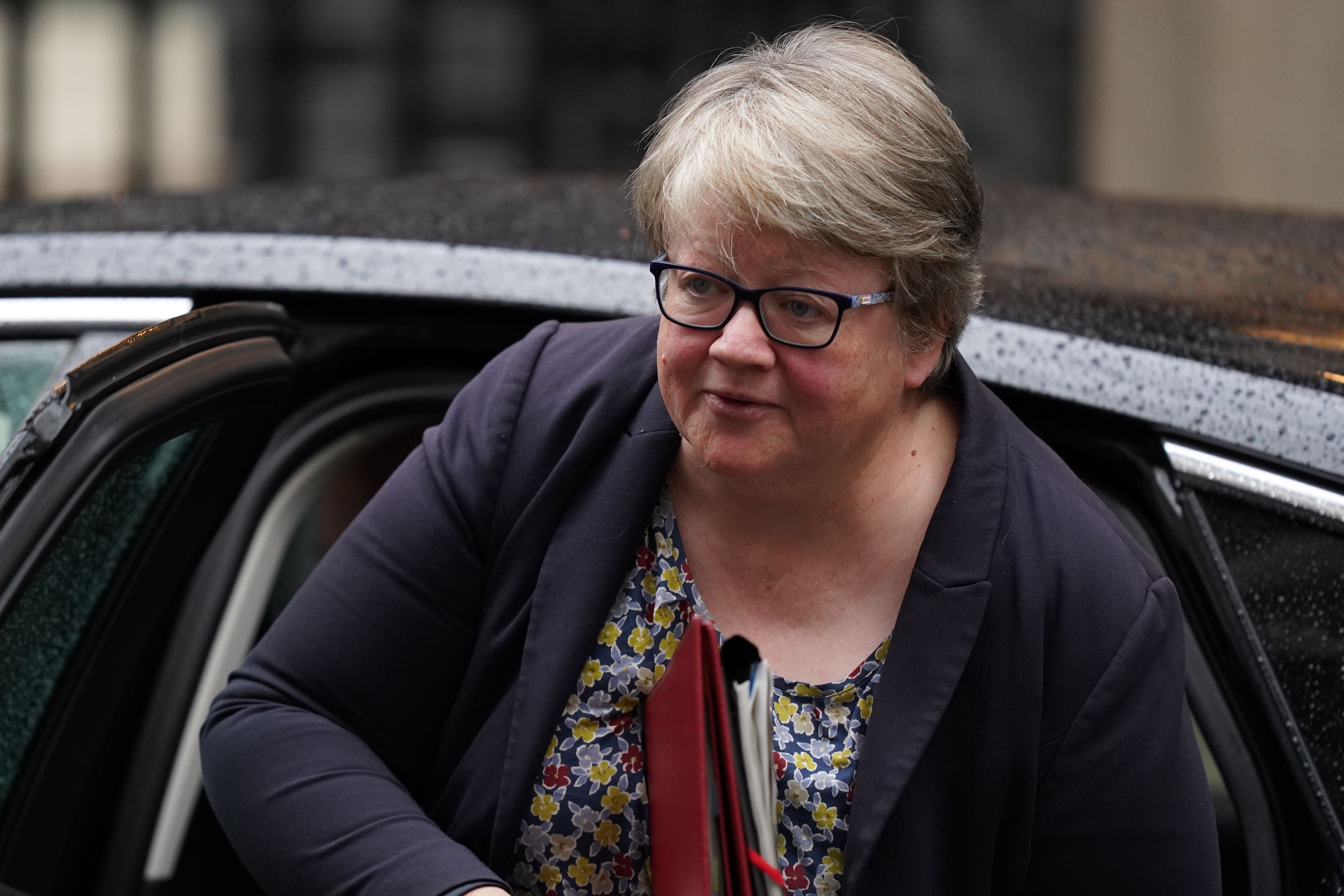 Environment Secretary Therese Coffey