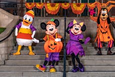 Woman dies in fall at Disneyland