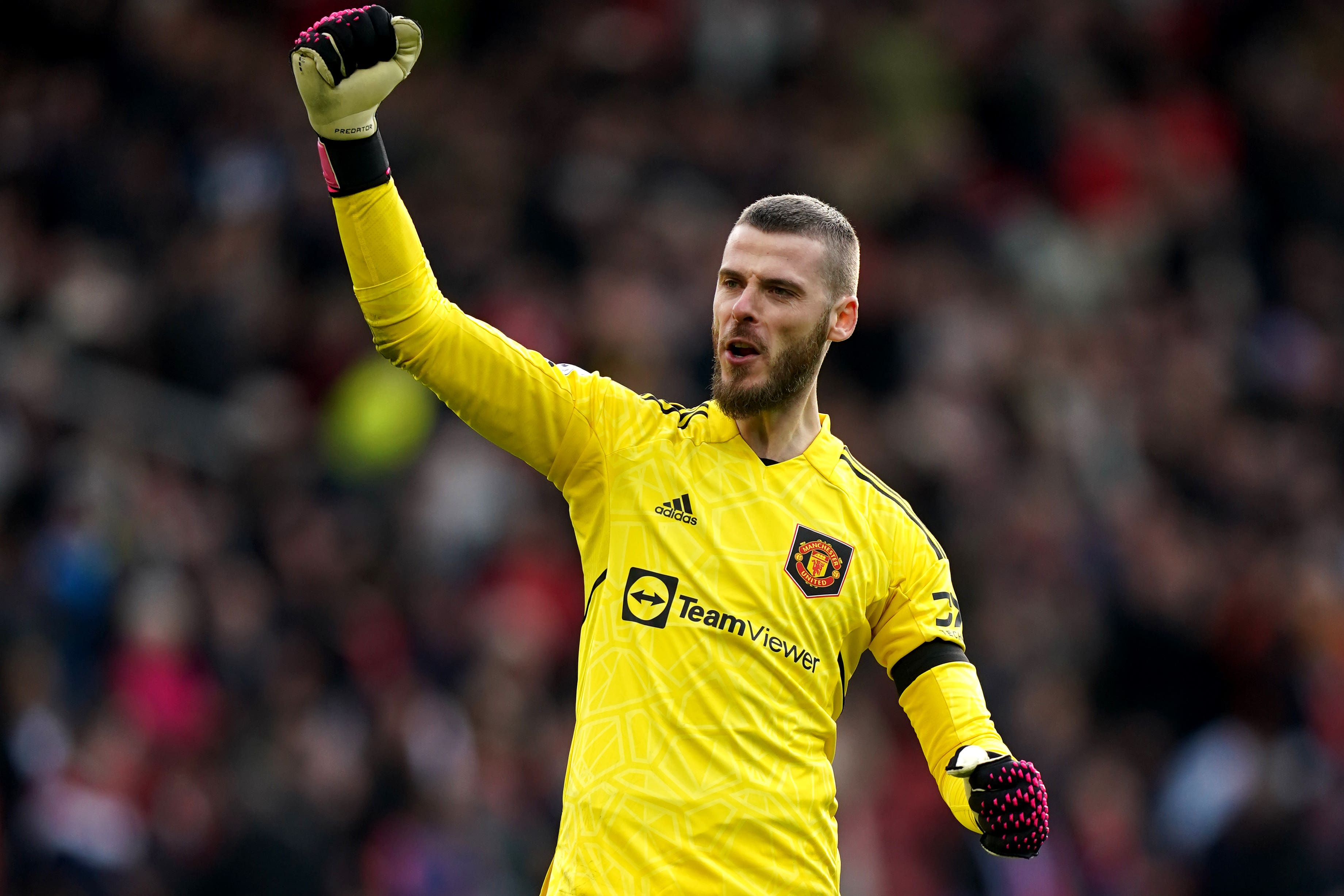 David de Gea celebrates his record-equalling shutout of Leicester (Nick Potts/PA)